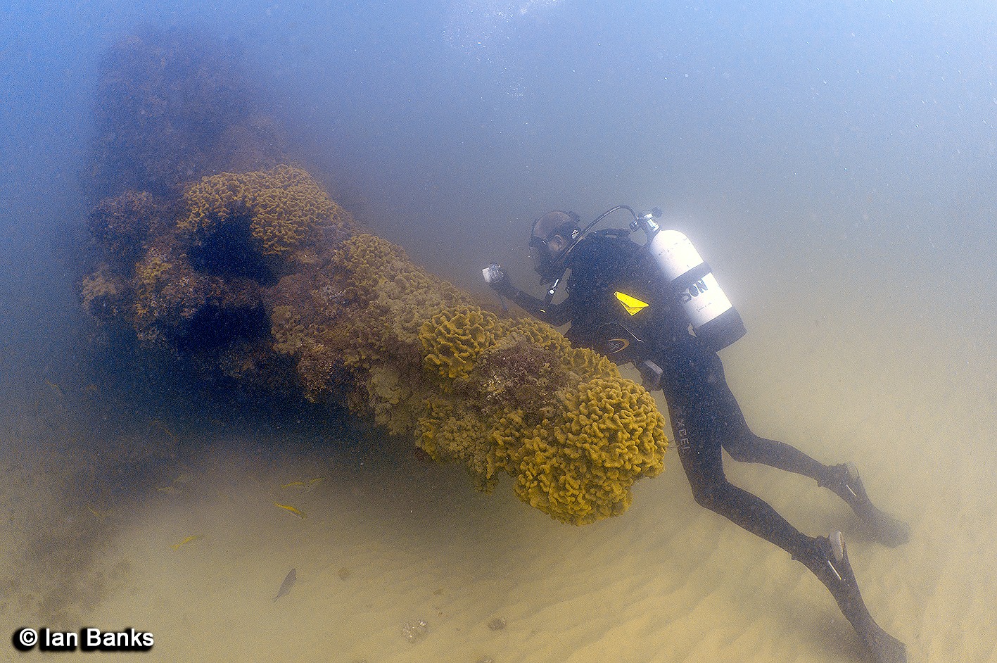 Dive site photo