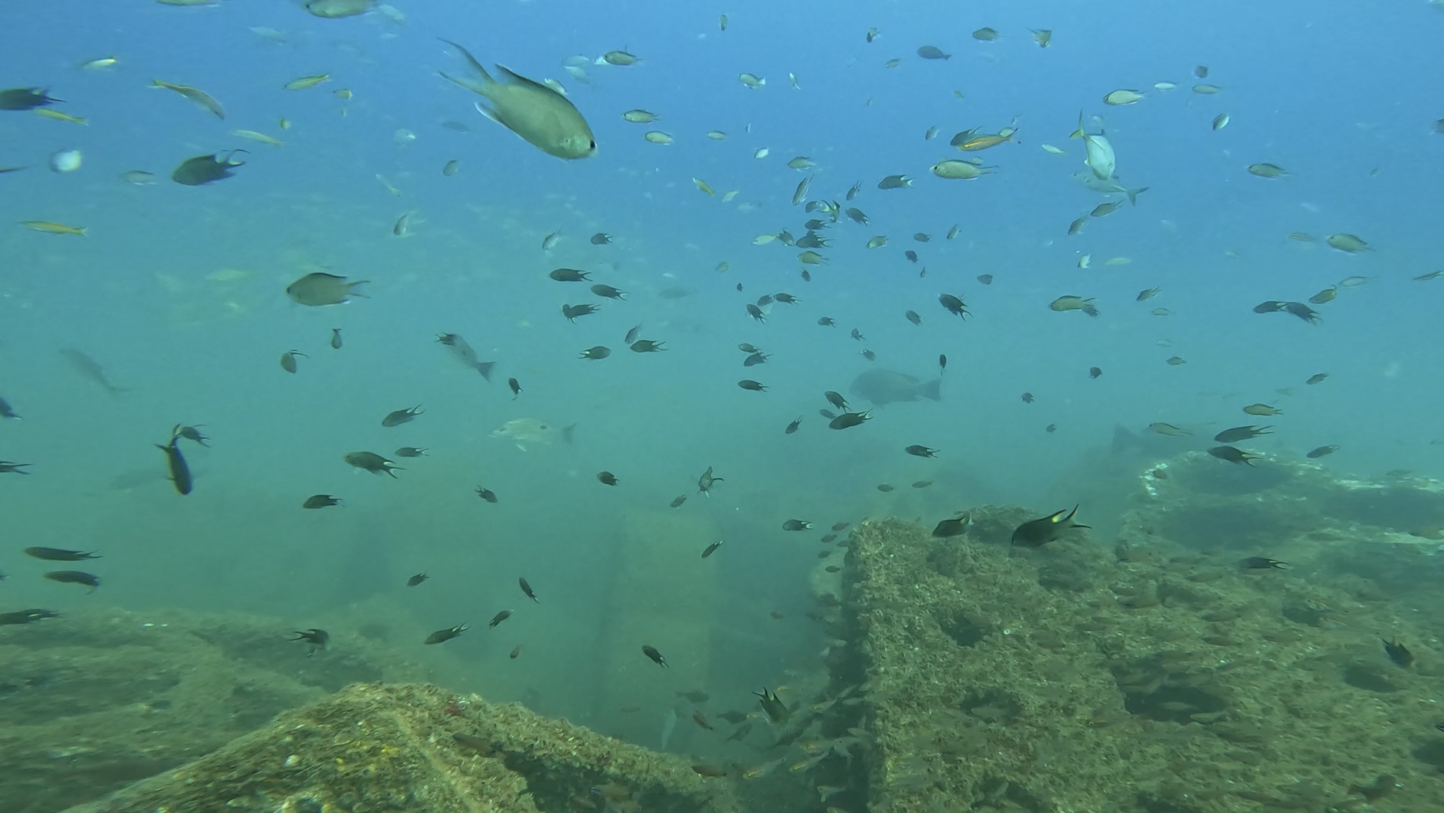Dive site photo