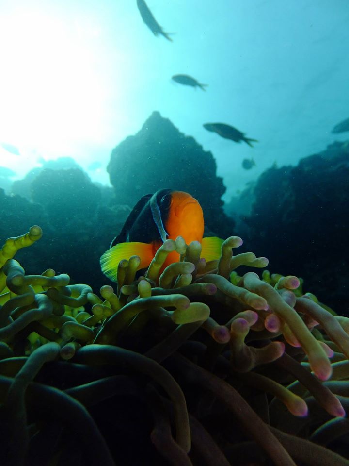 Dive site photo