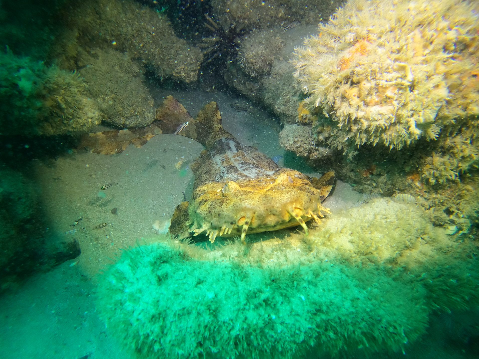 Dive site photo