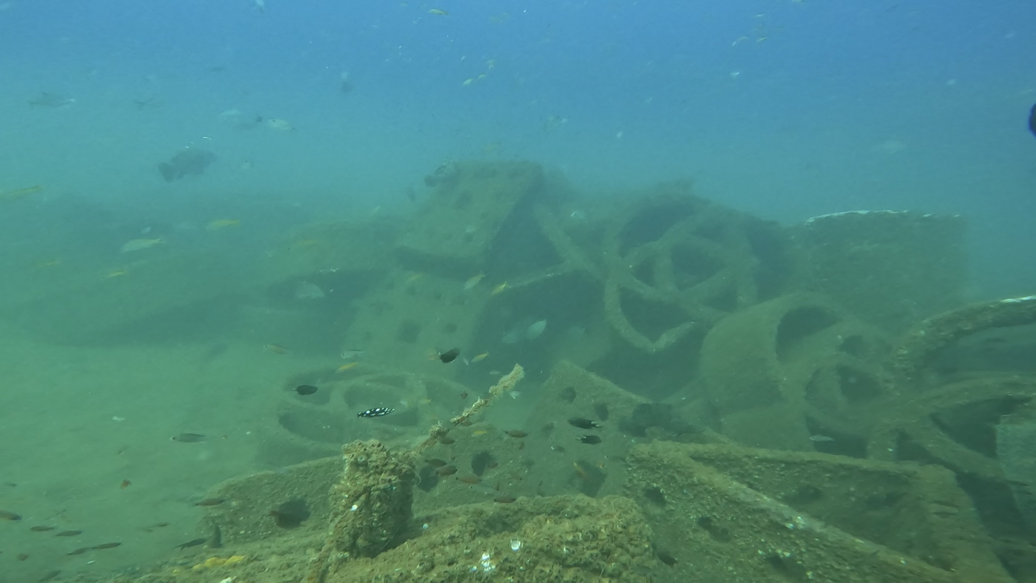 Dive site photo