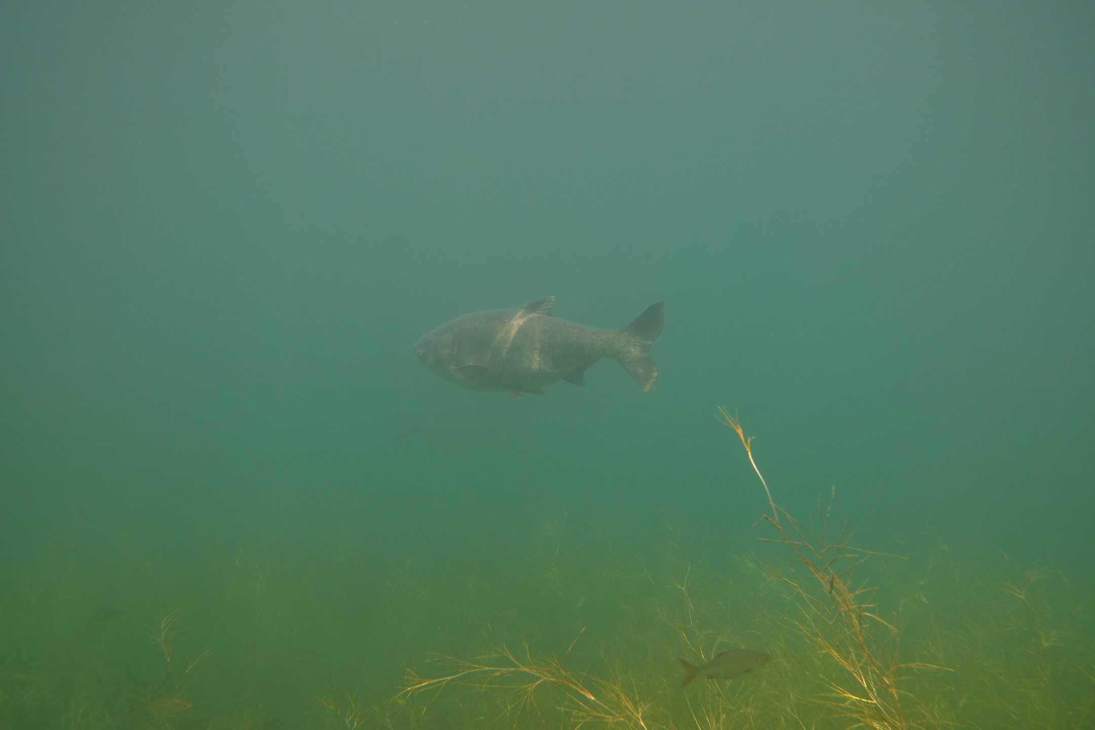 Dive site photo