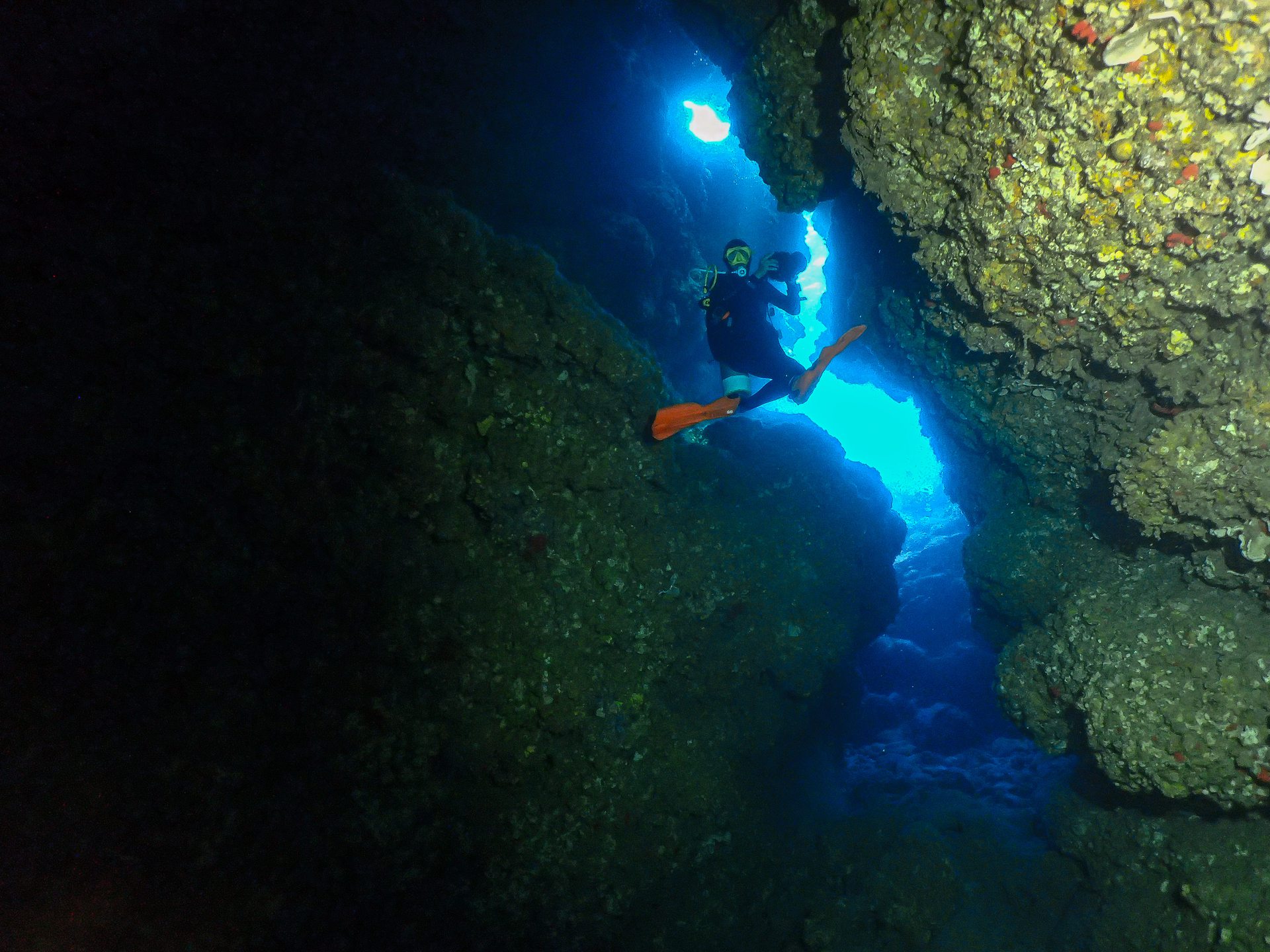 Dive site photo