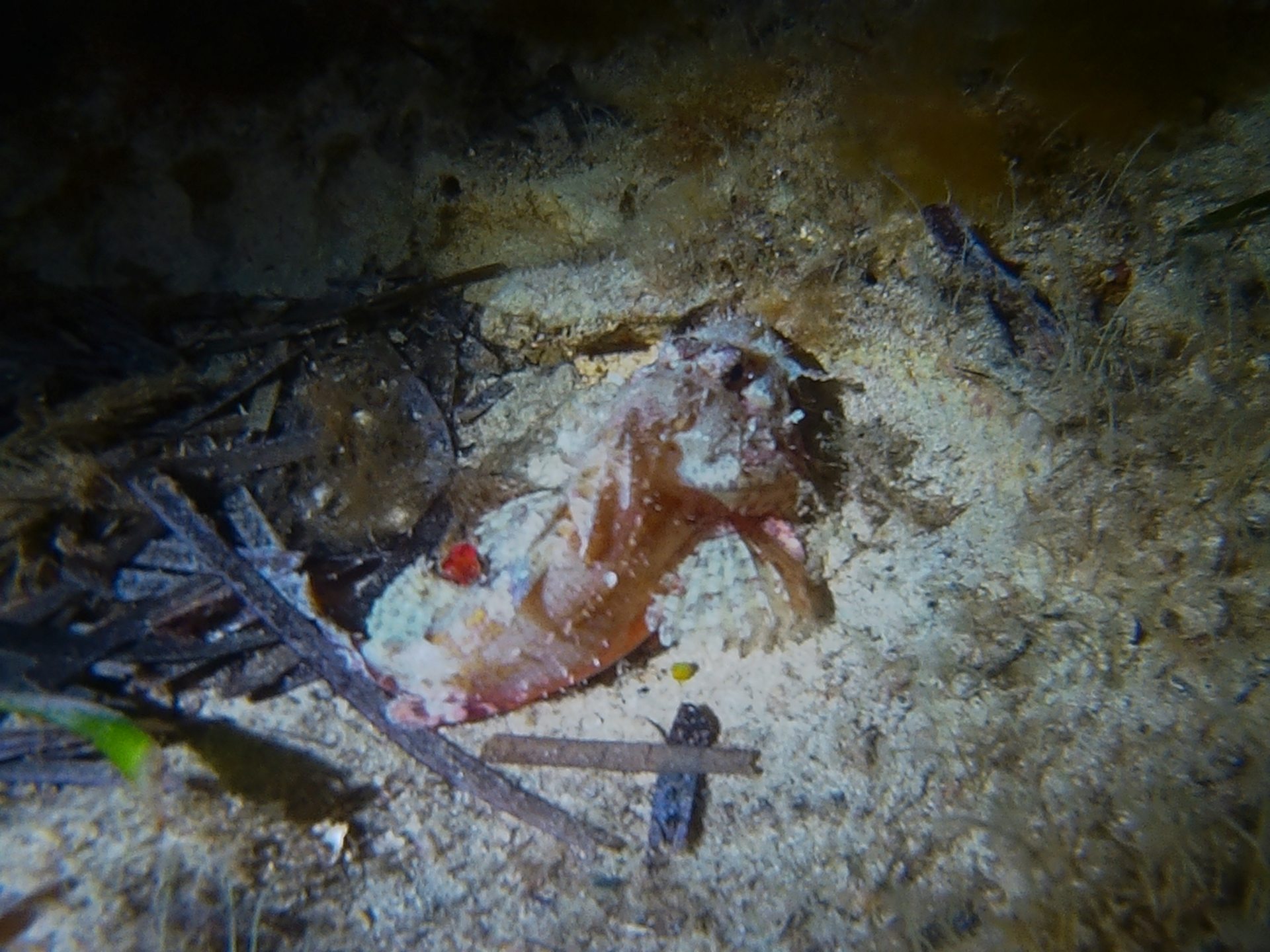 Dive site photo