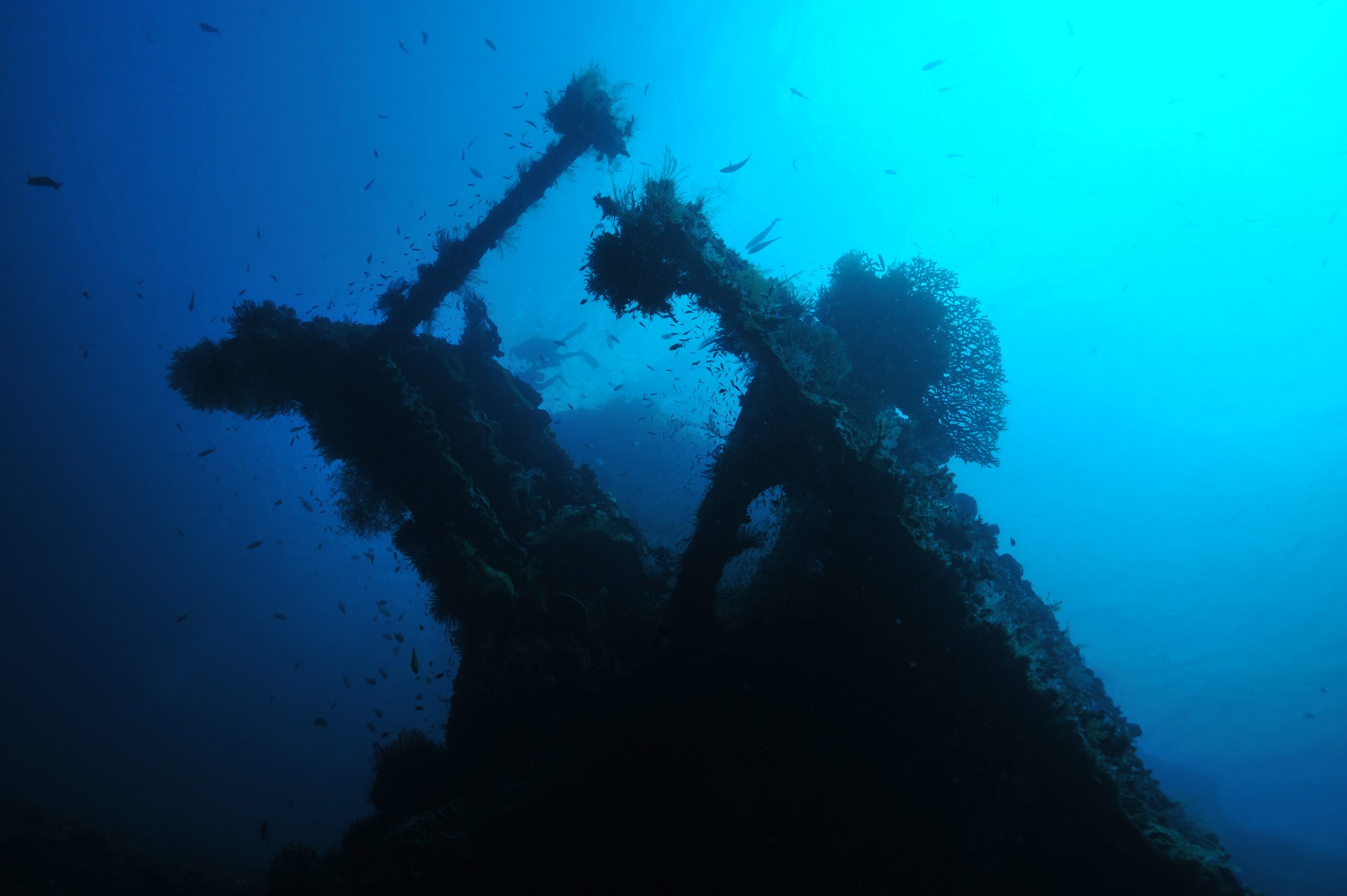 Dive site photo