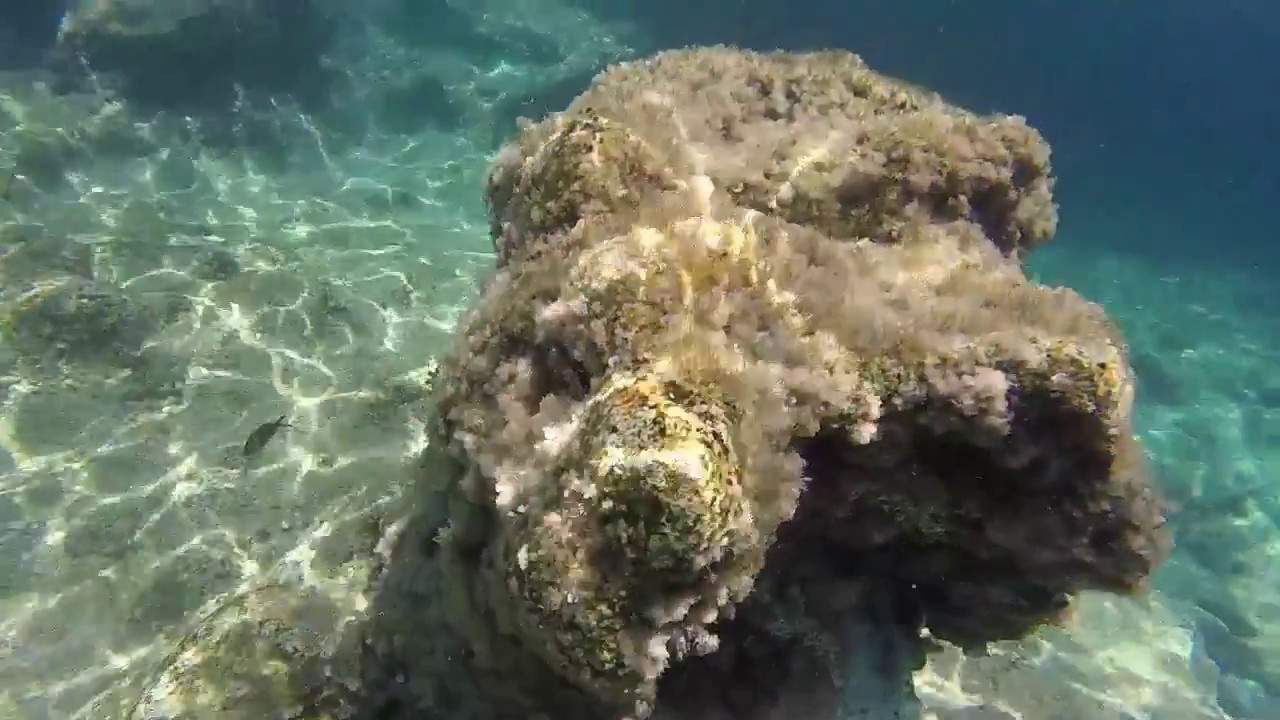 Dive site photo