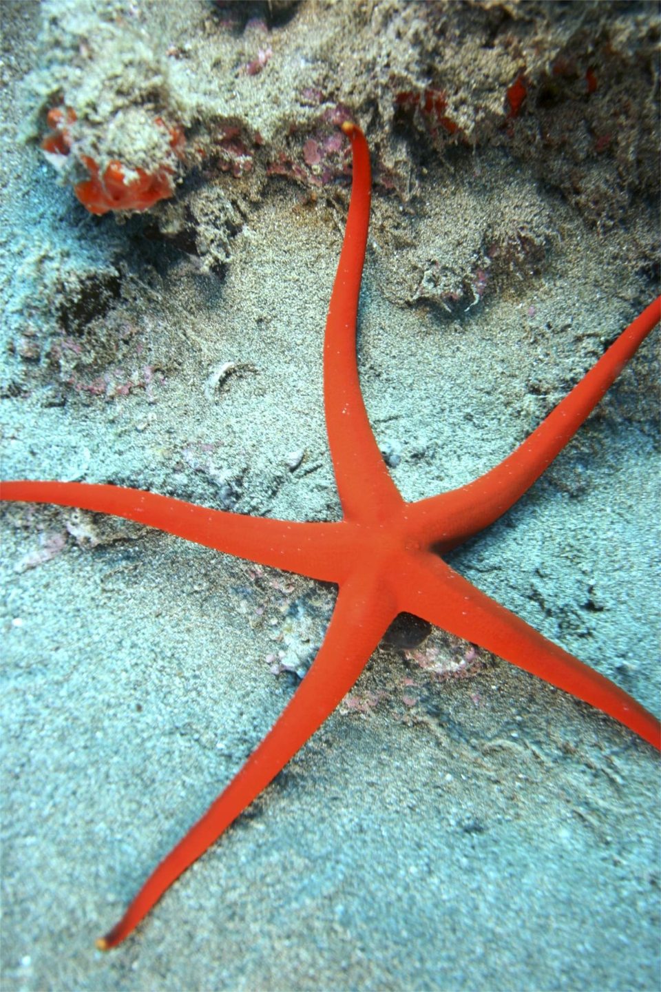 Dive site photo