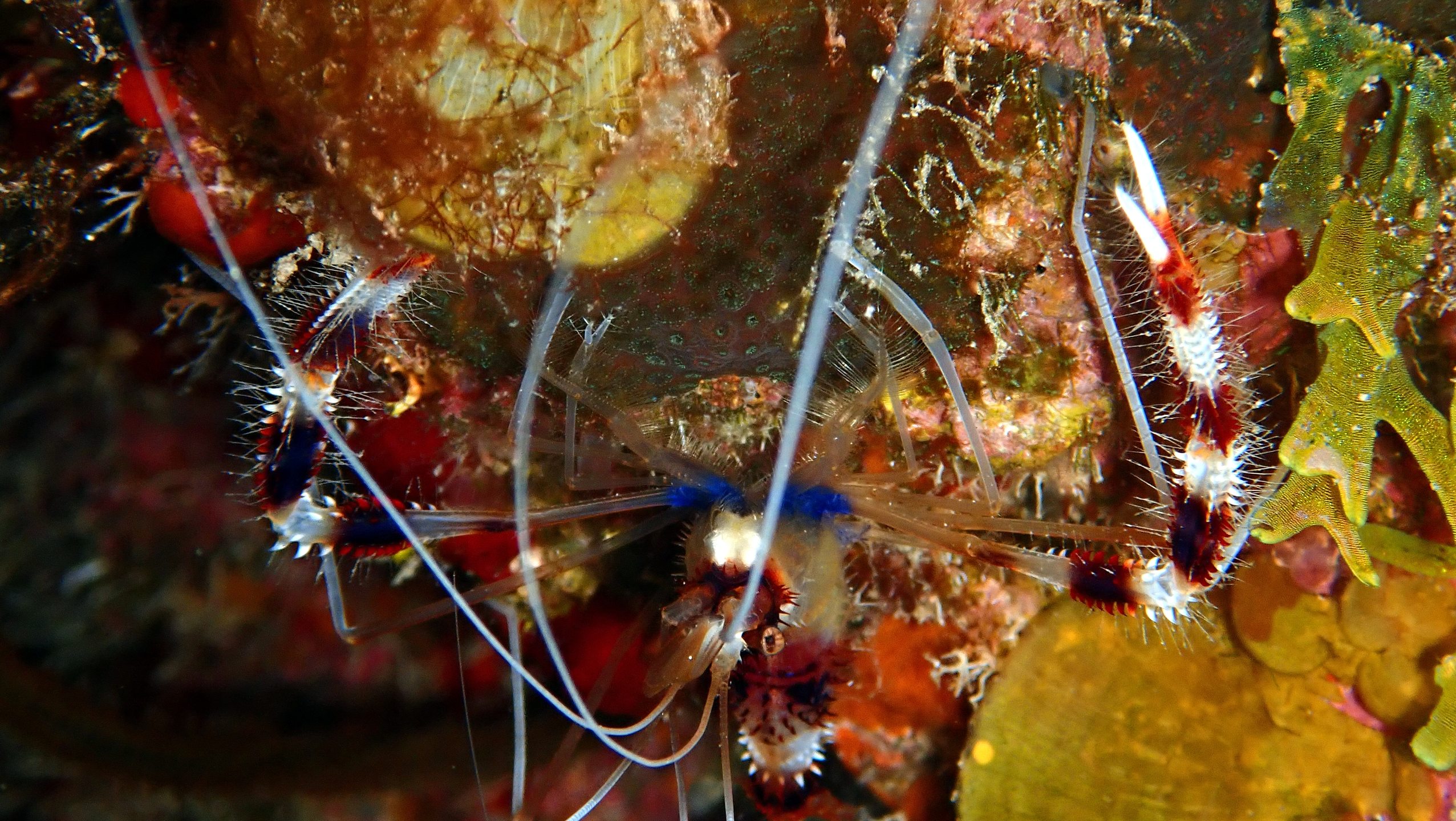 Dive site photo