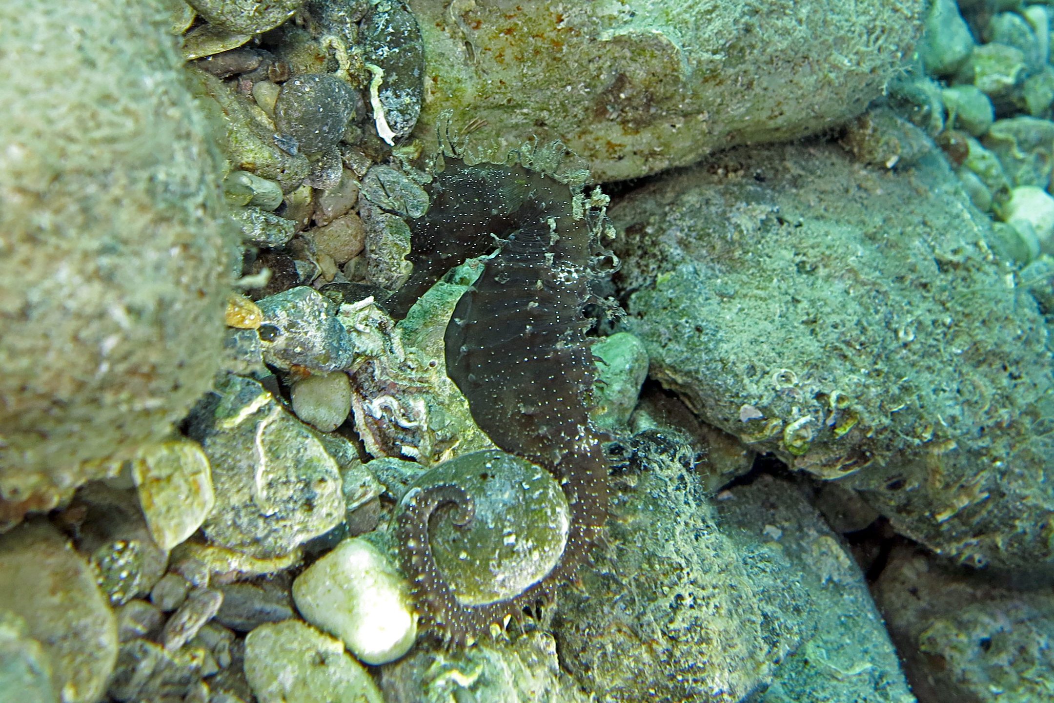 Dive site photo