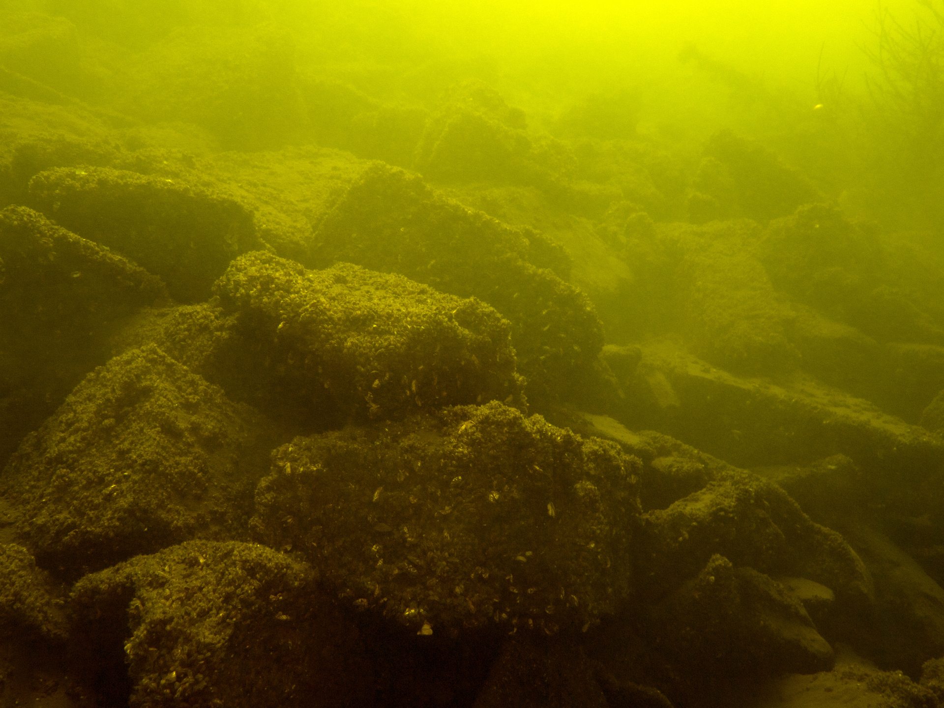 Dive site photo
