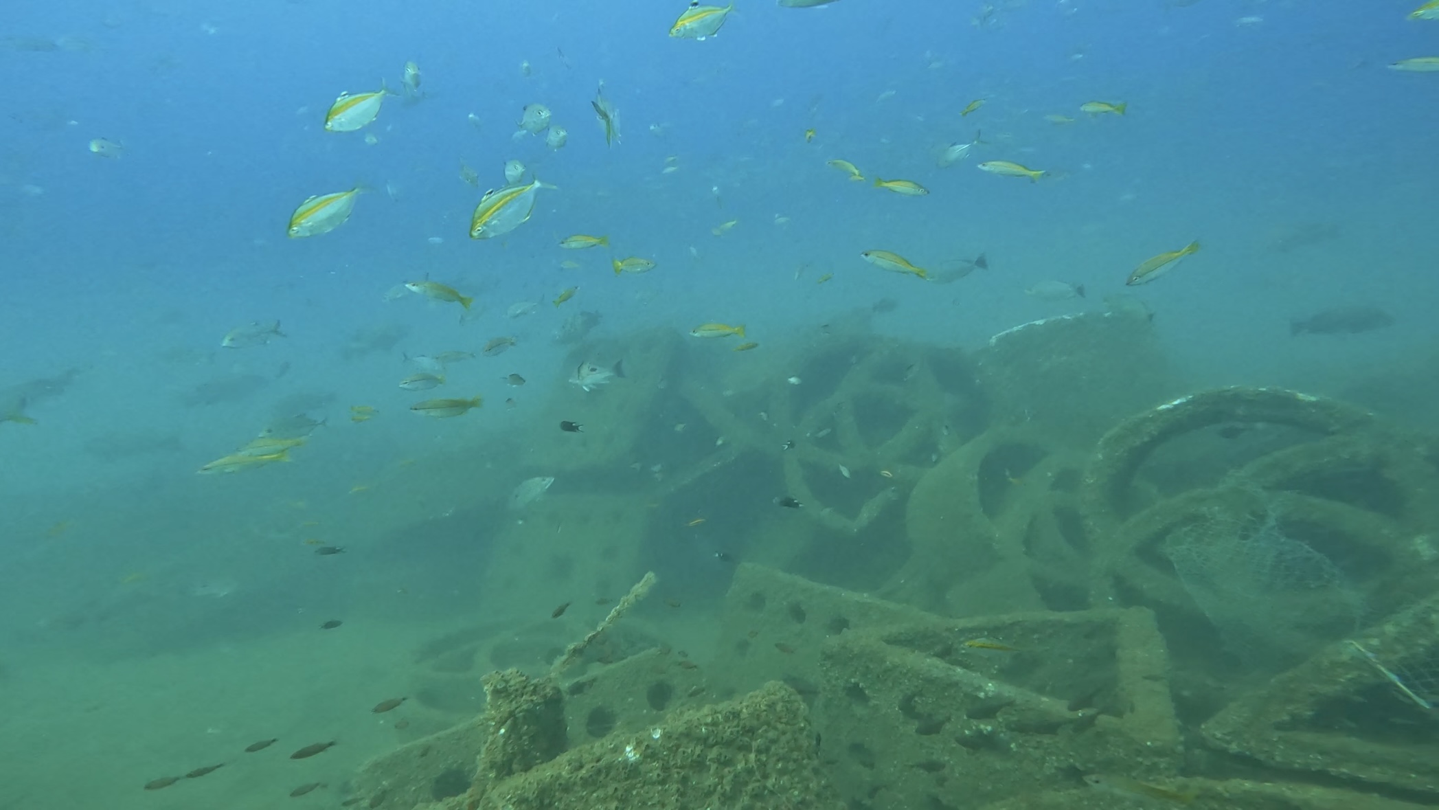 Dive site photo
