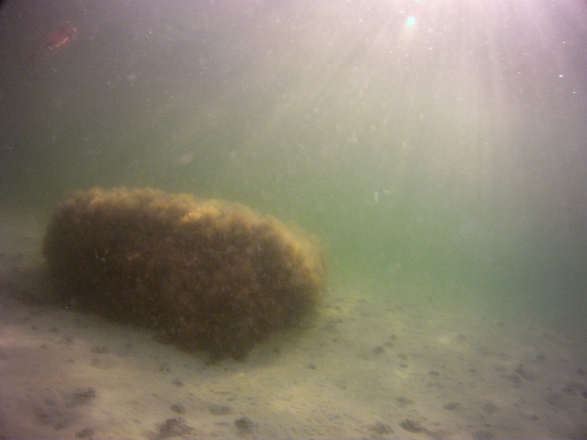 Dive site photo