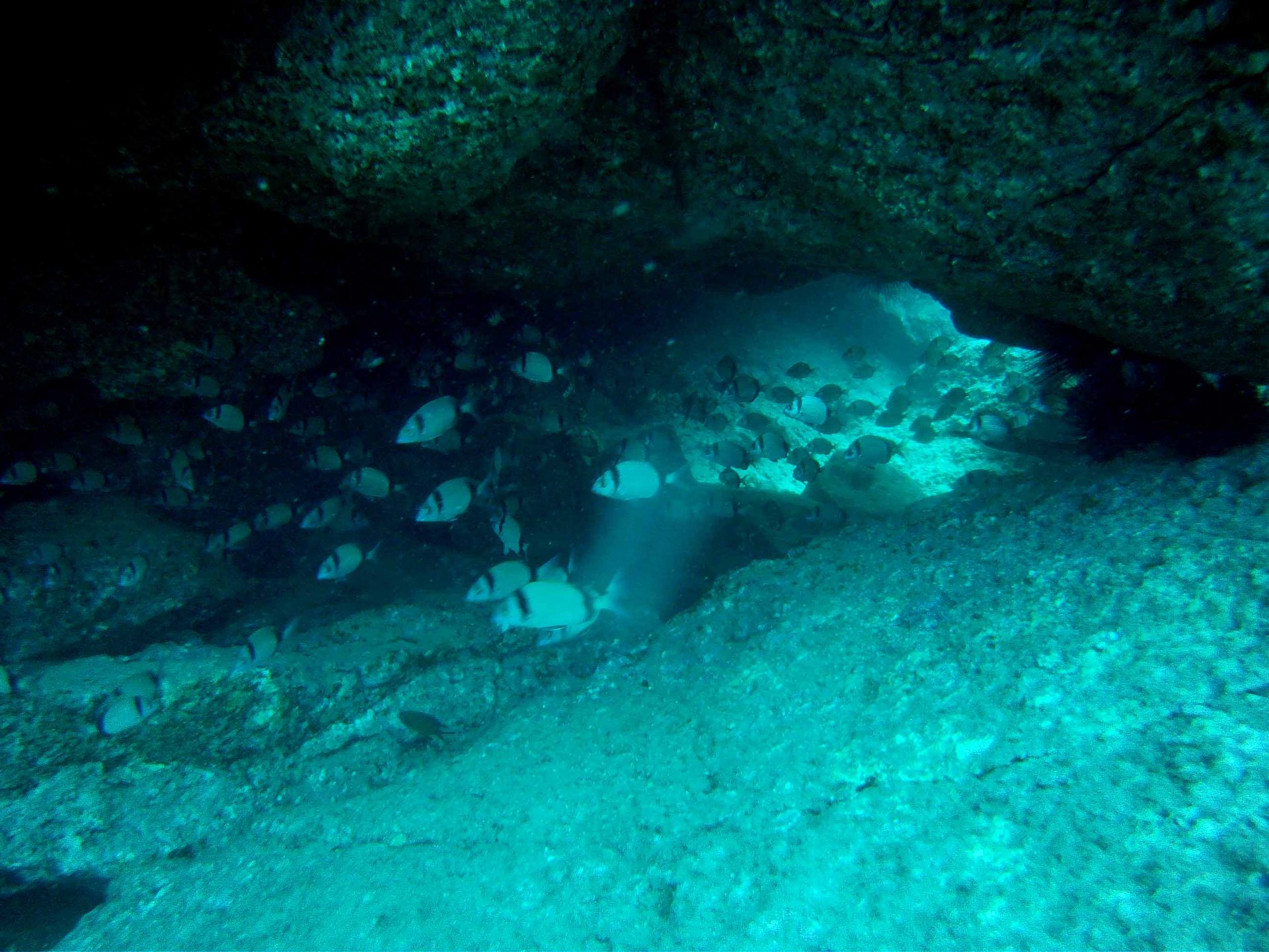 Dive site photo