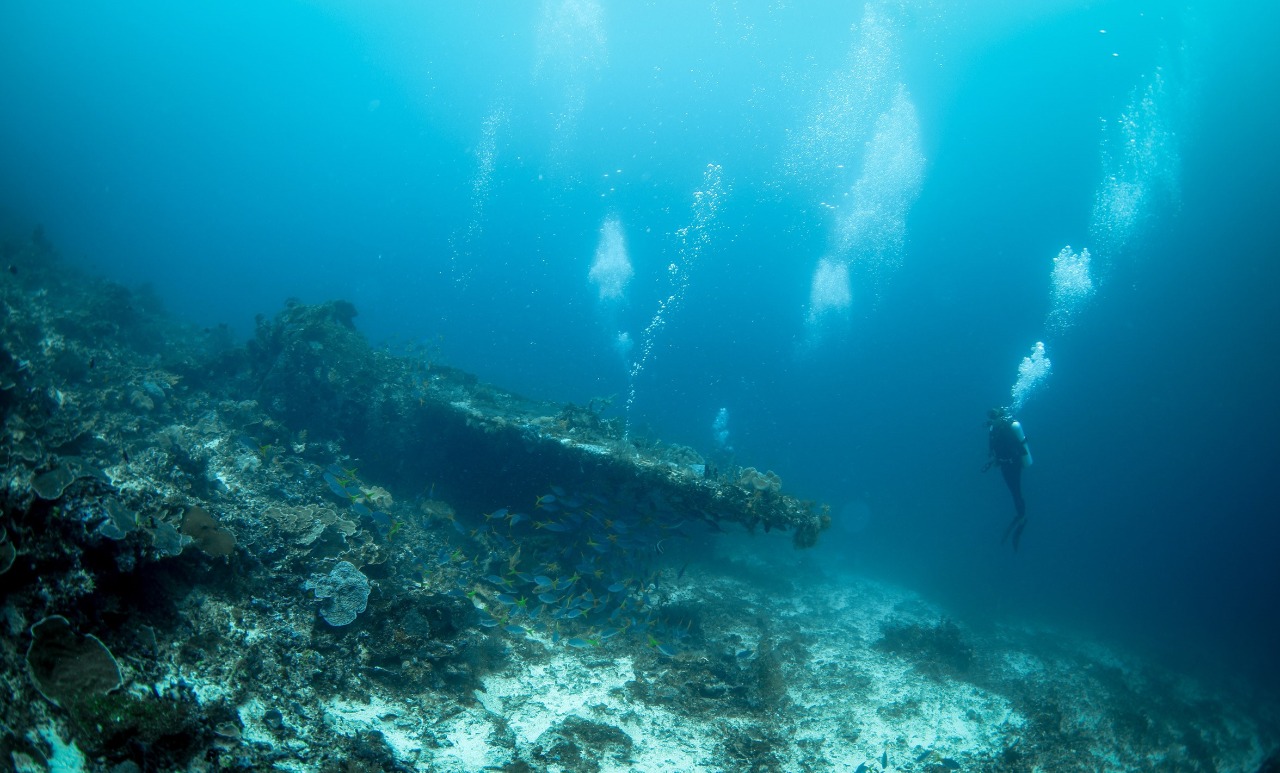 P47 Plane Wreck