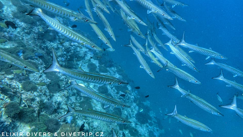 Dive site photo
