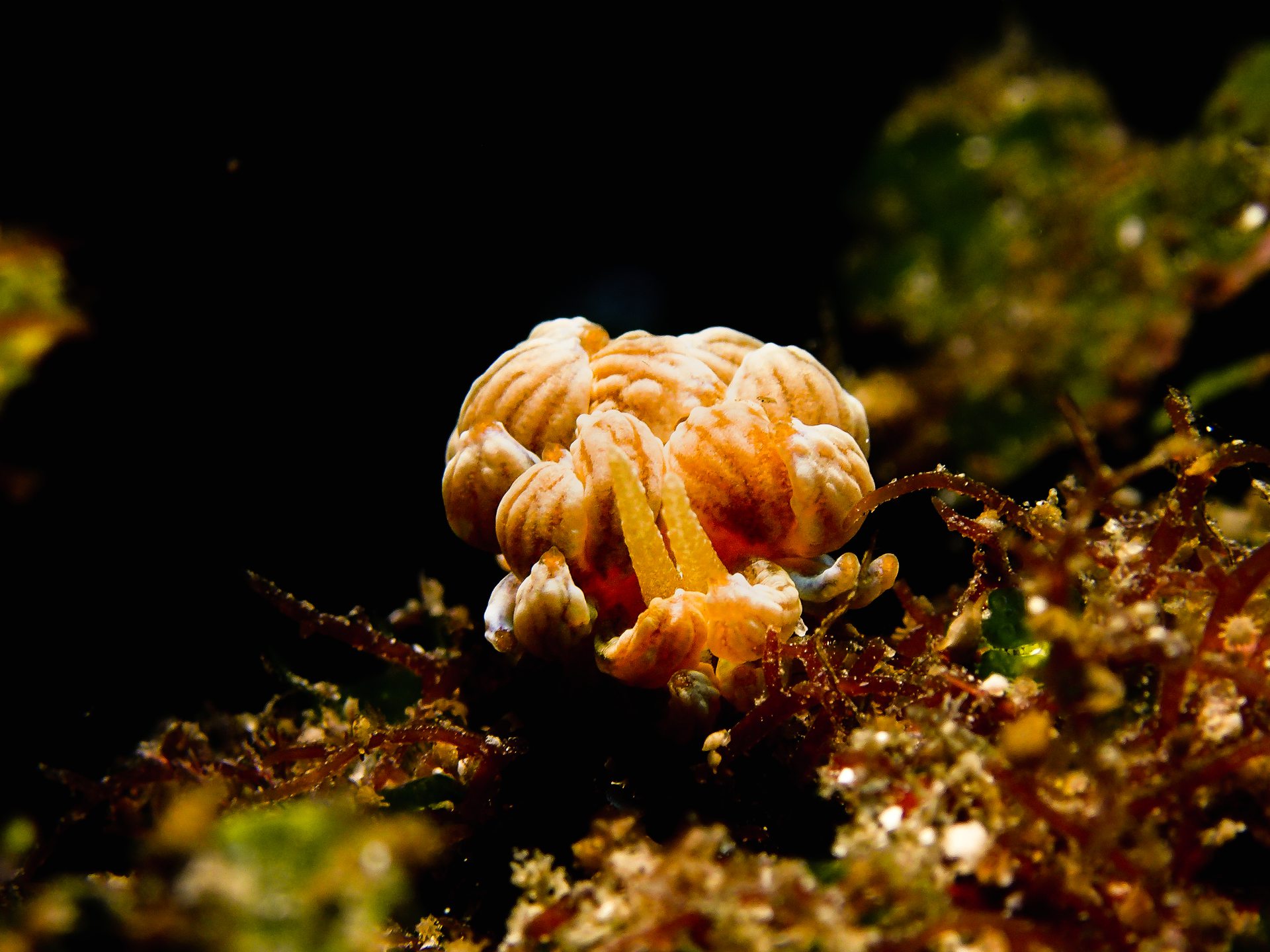 Dive site photo