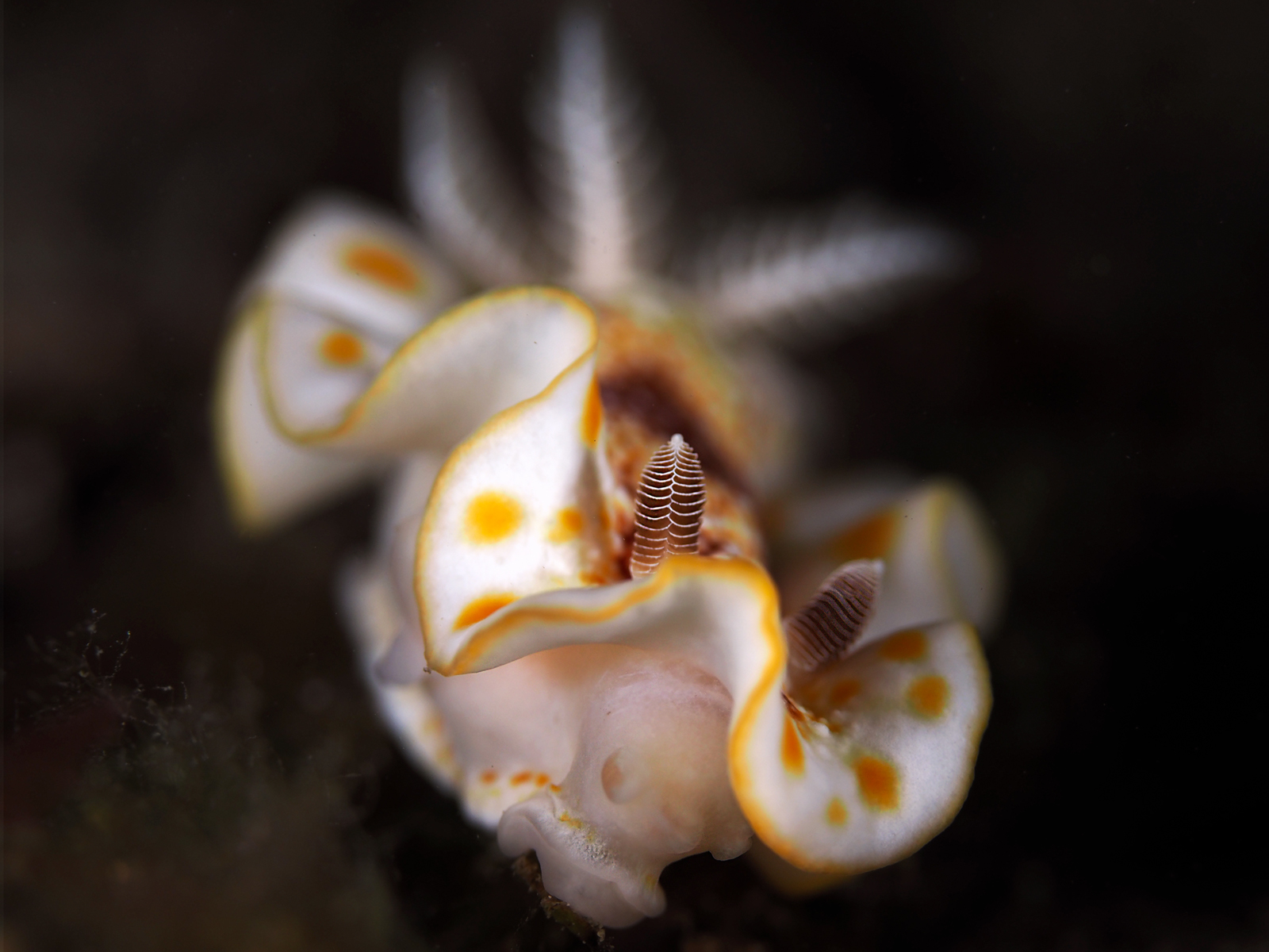 Dive site photo