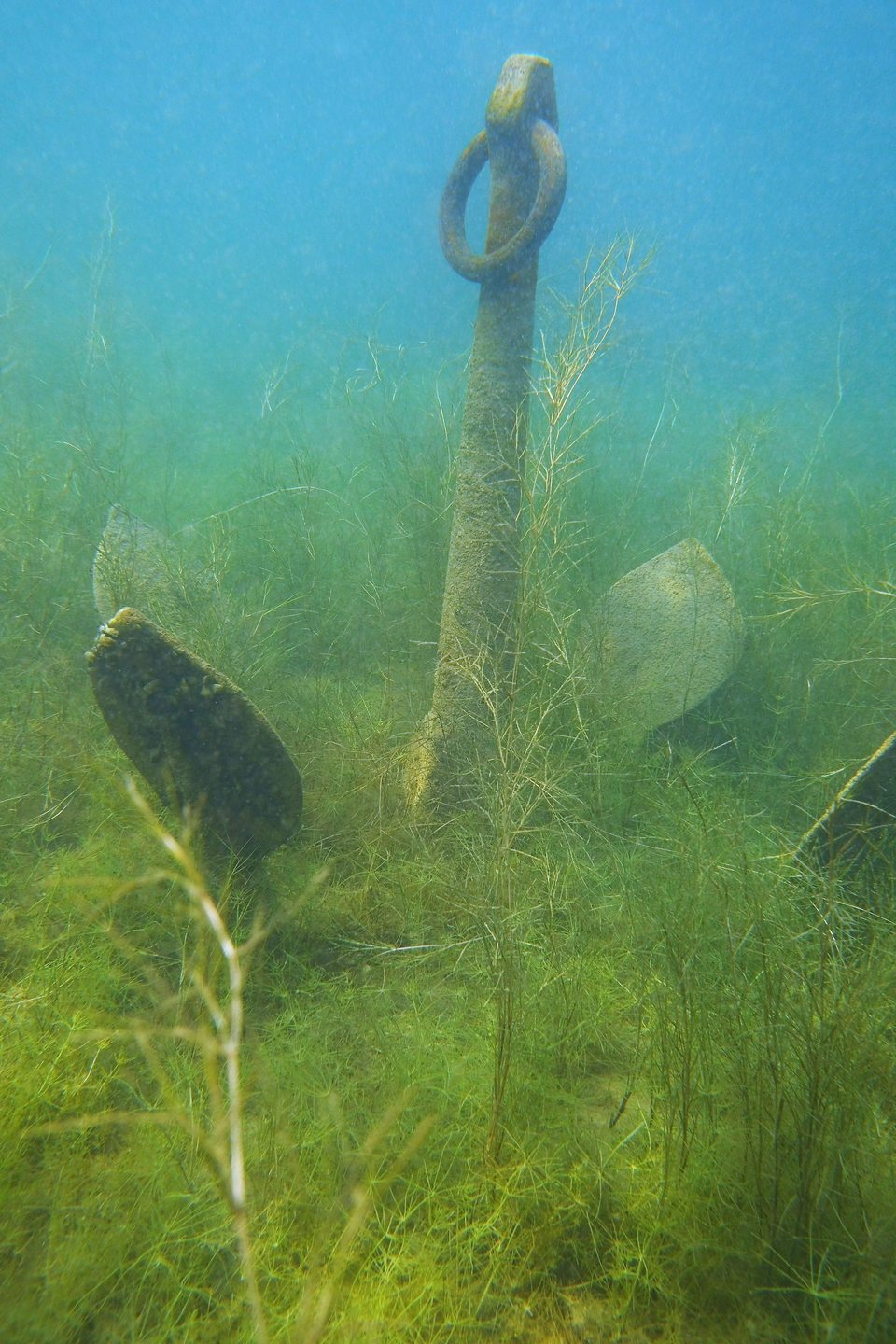 Dive site photo