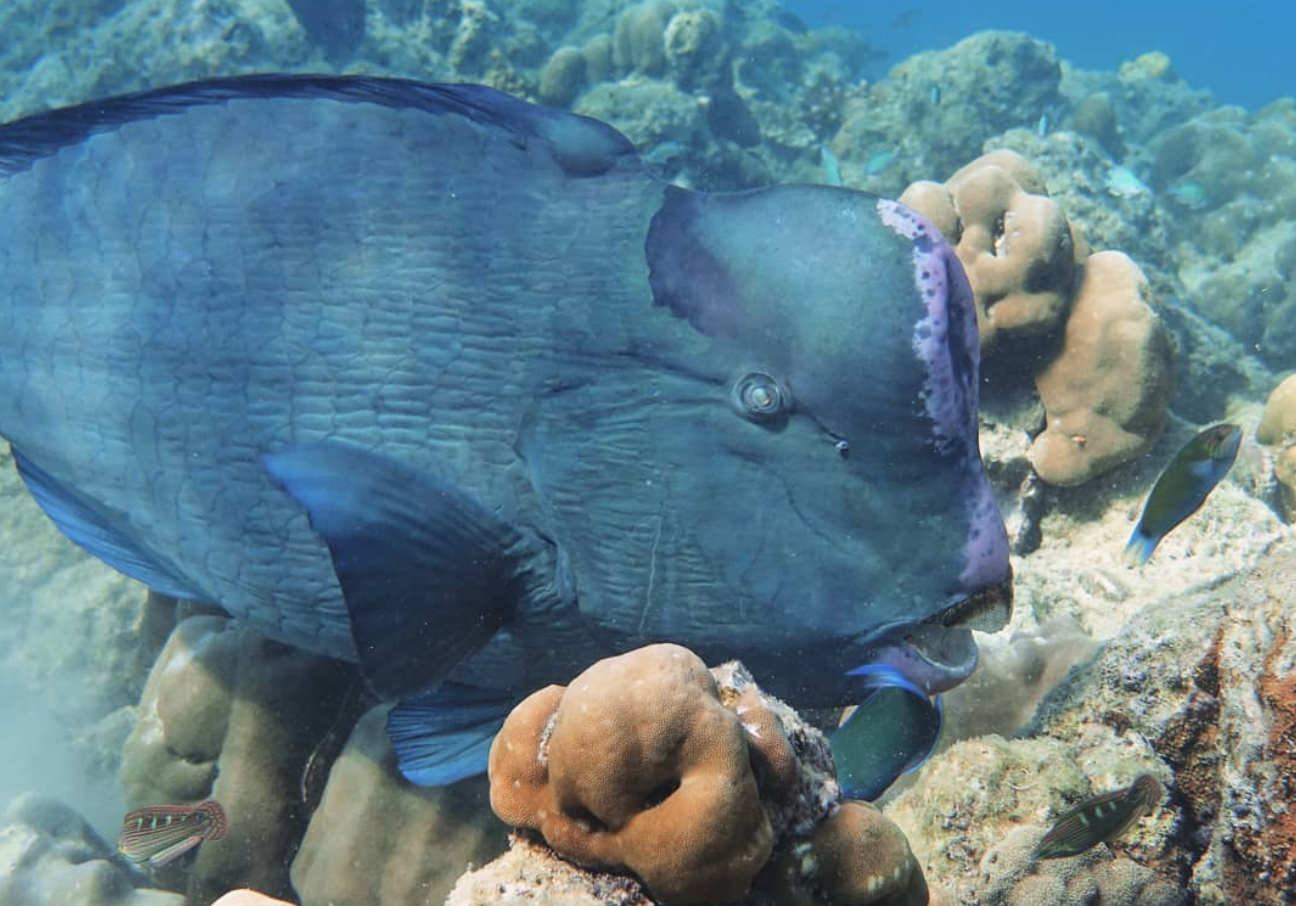 Dive site photo