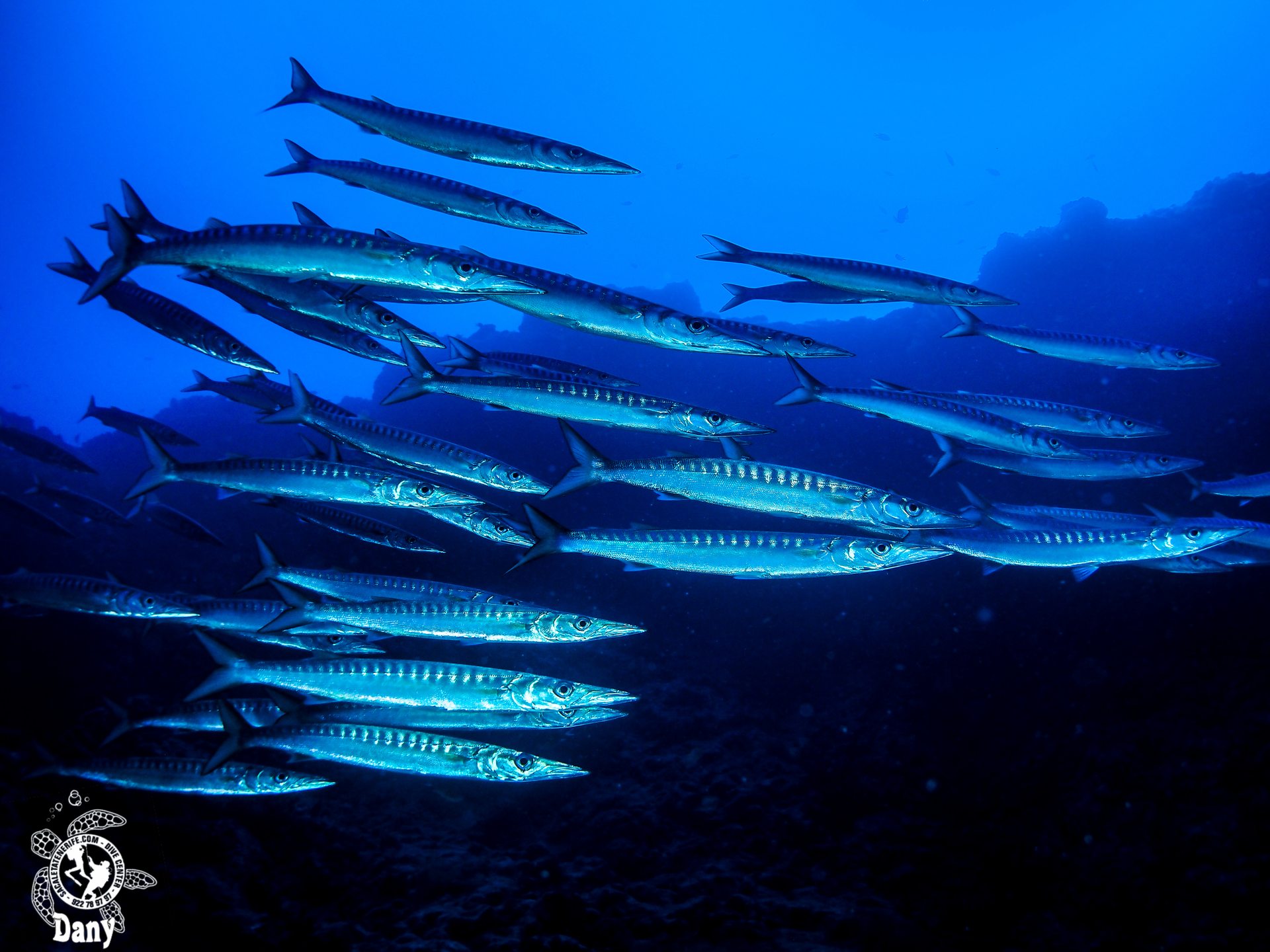 Dive site photo