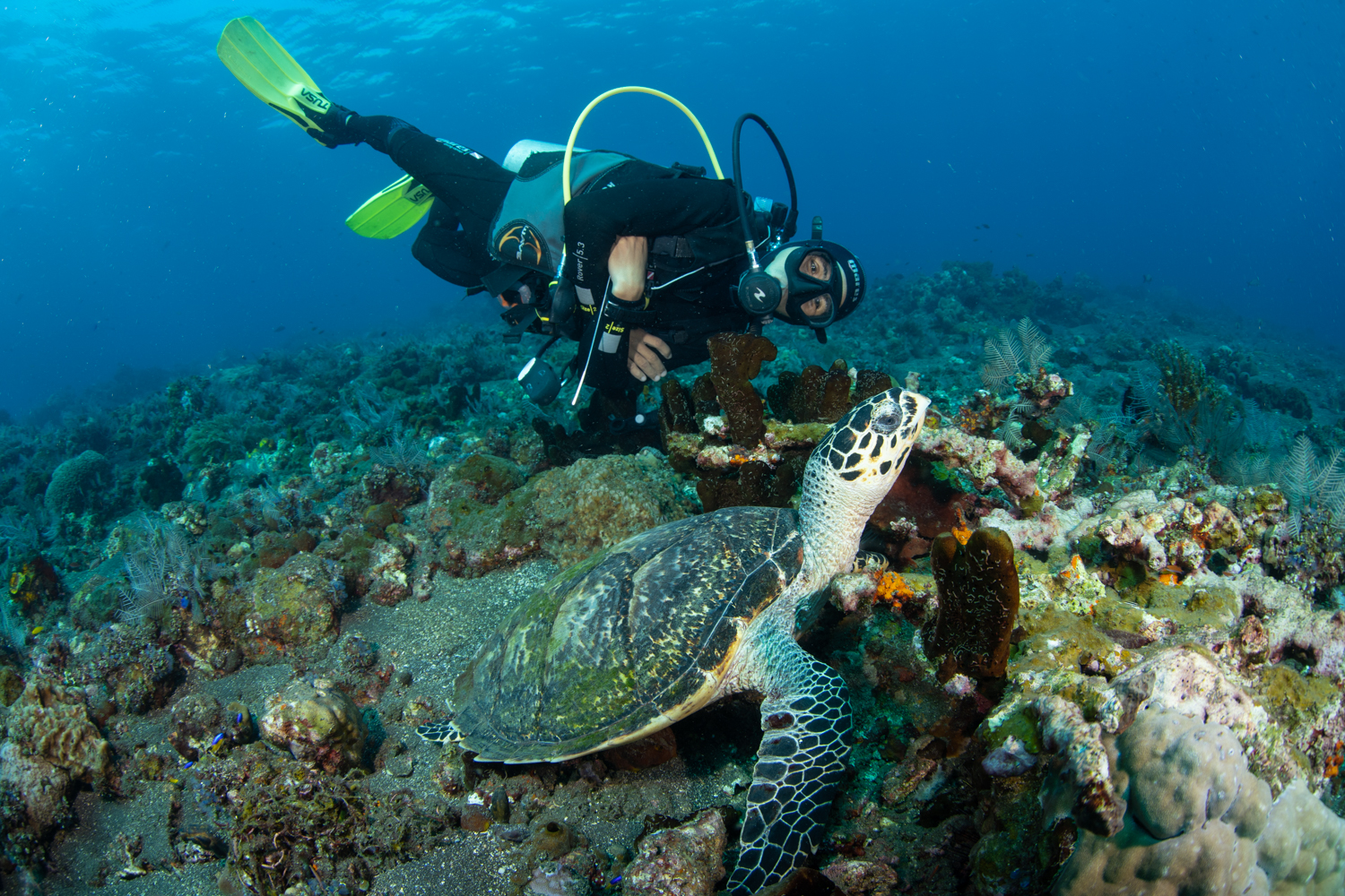 Dive site photo
