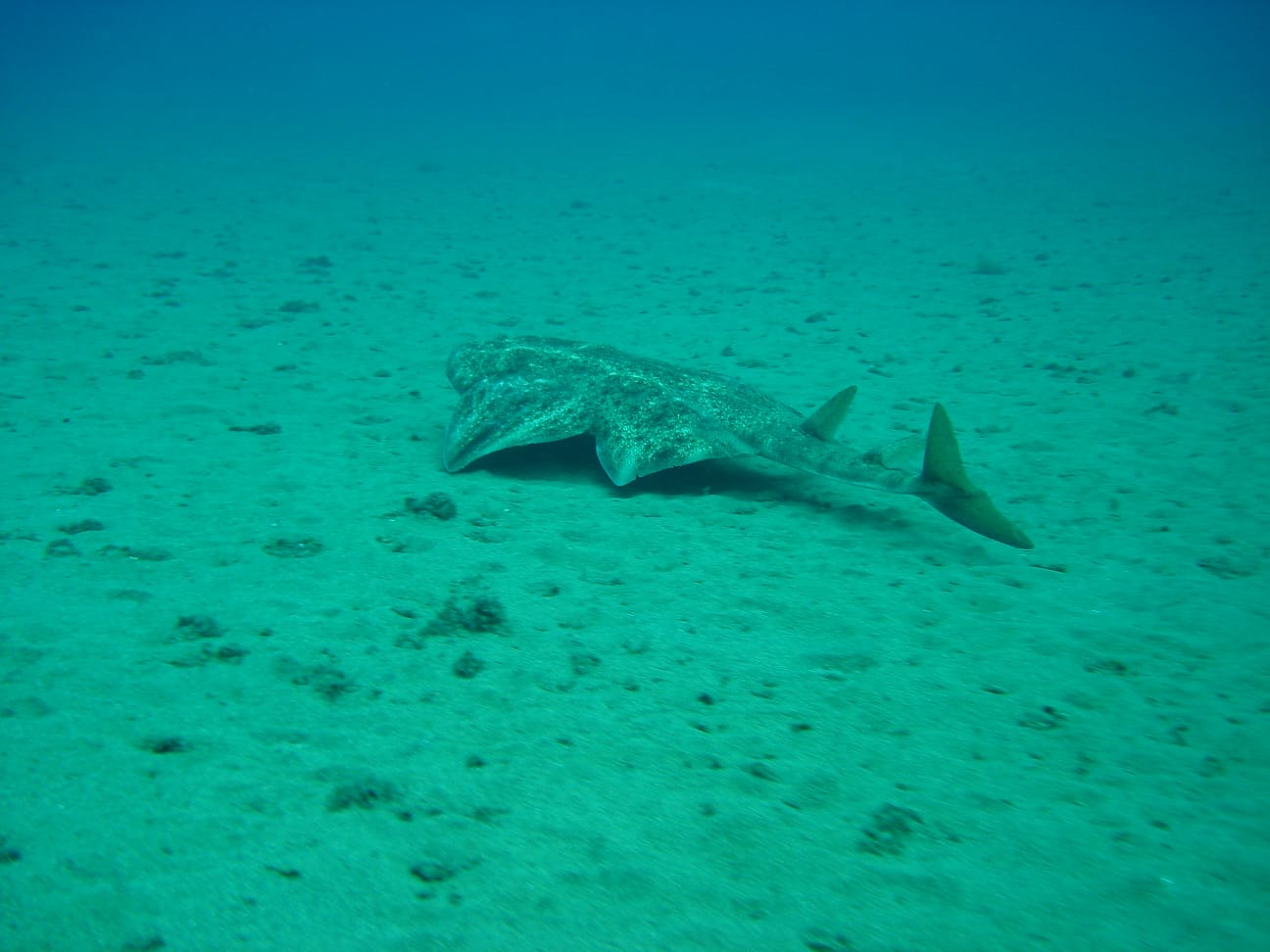 Dive site photo
