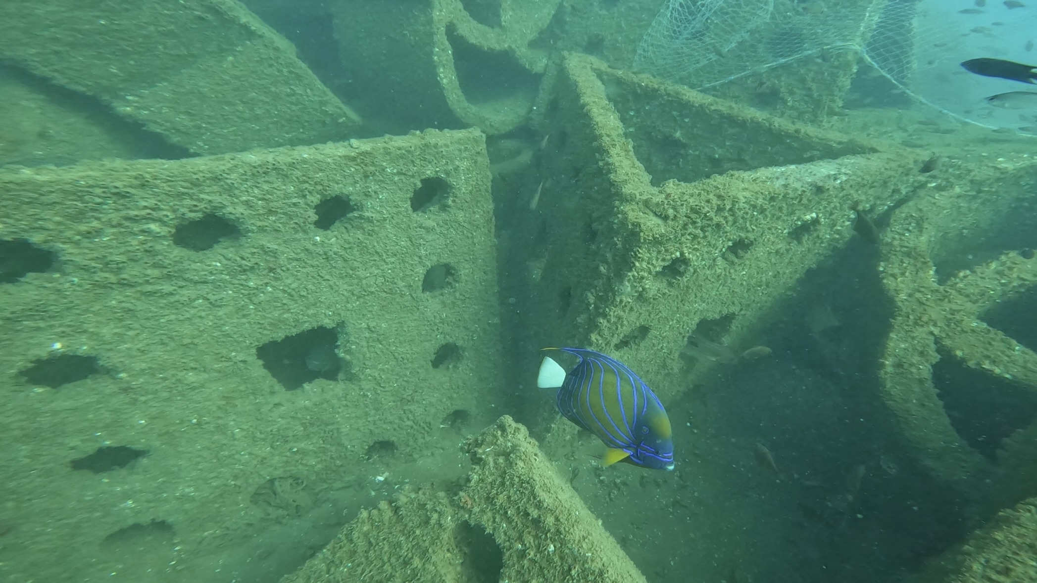 Dive site photo