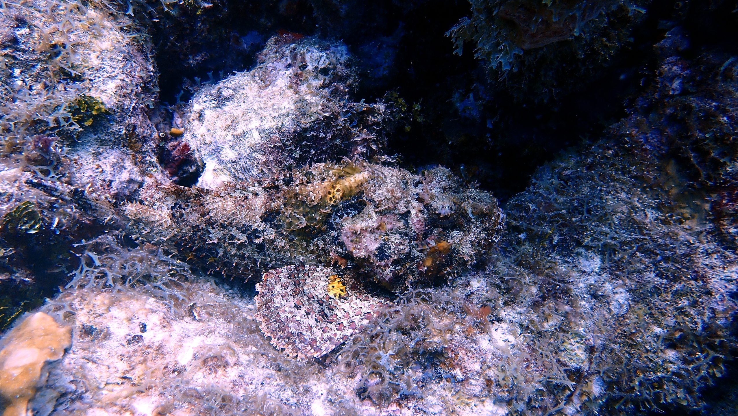 Dive site photo