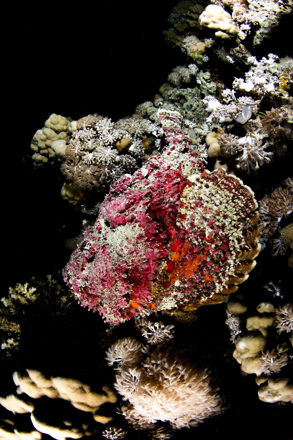Dive site photo