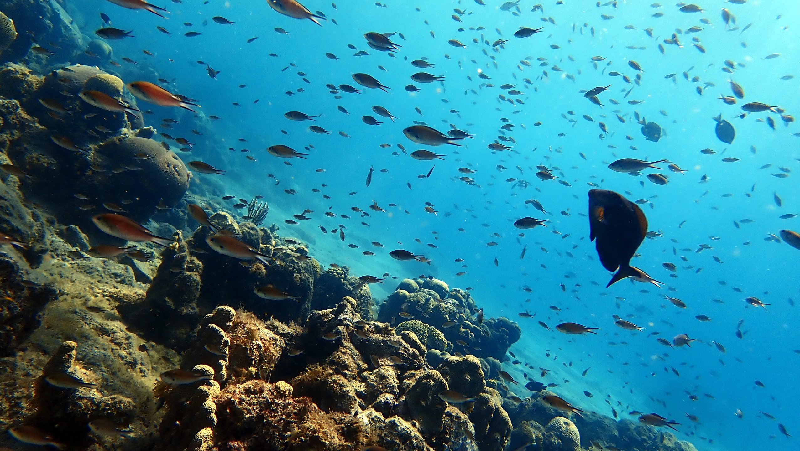 Dive site photo