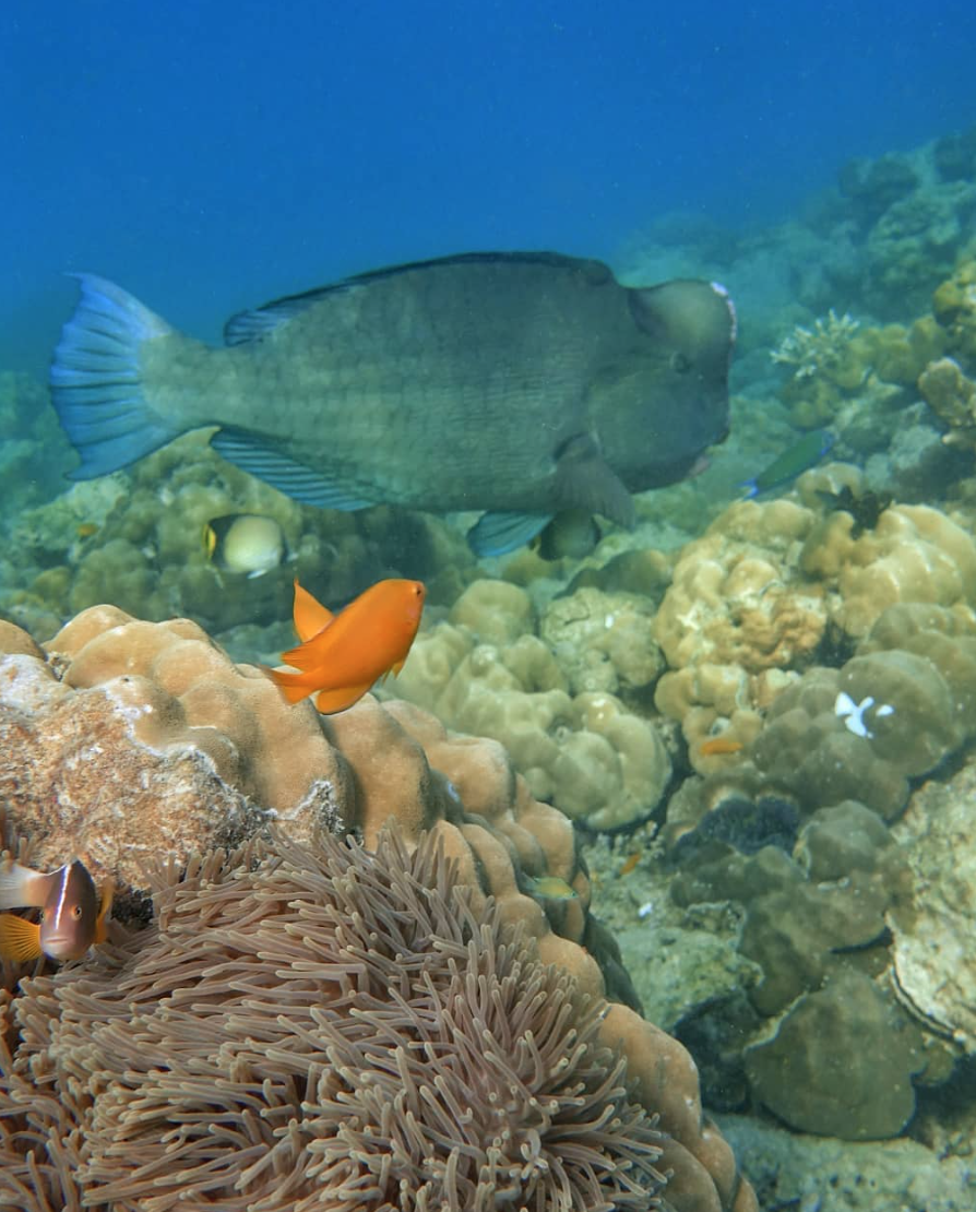 Dive site photo
