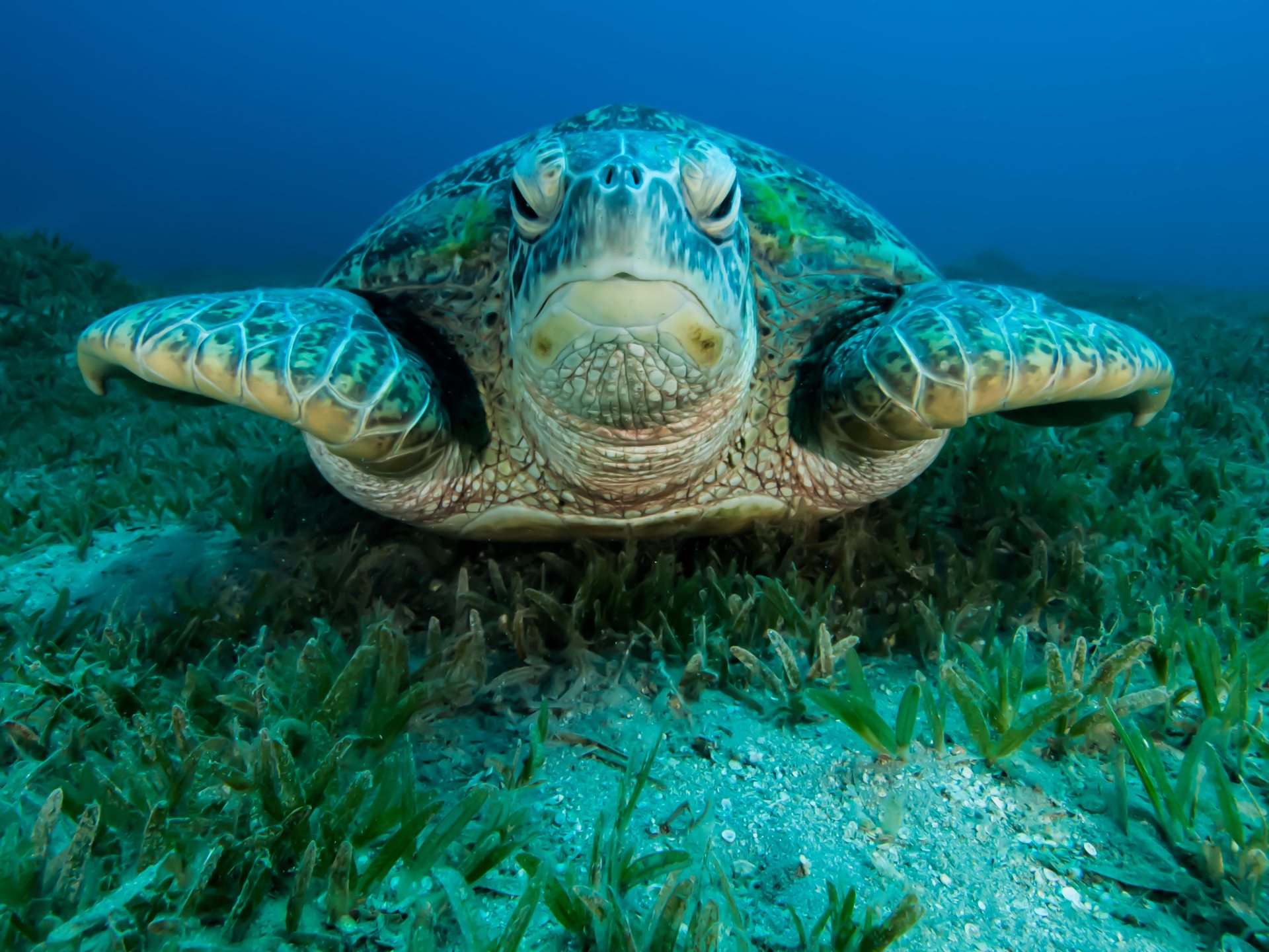 Dive site photo