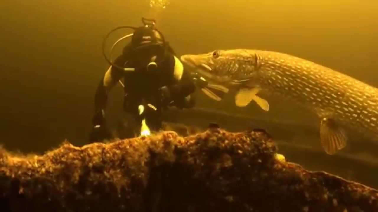 Dive site photo