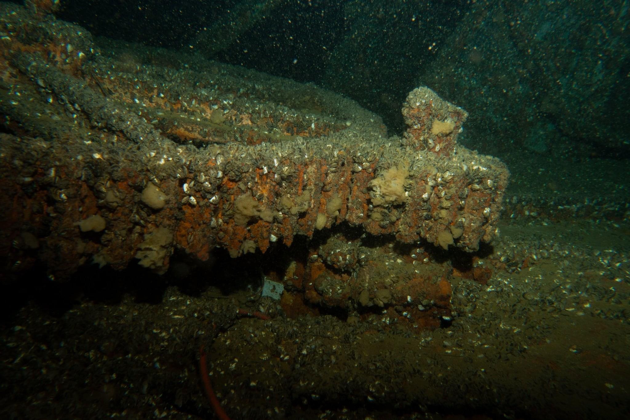 ASD Sommozzatori Bresciani Leonessa | Brescia | PADI Dive Center, image size:2048x1365