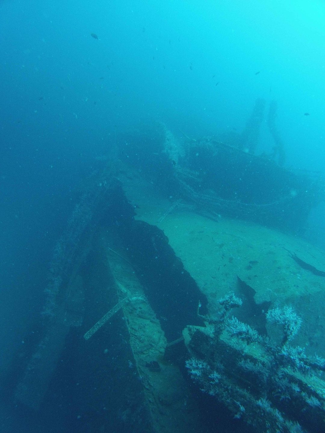 Dive site photo