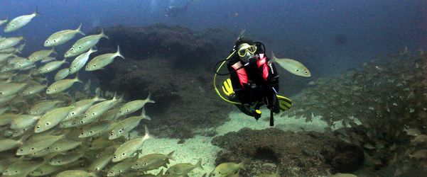 Dive site photo