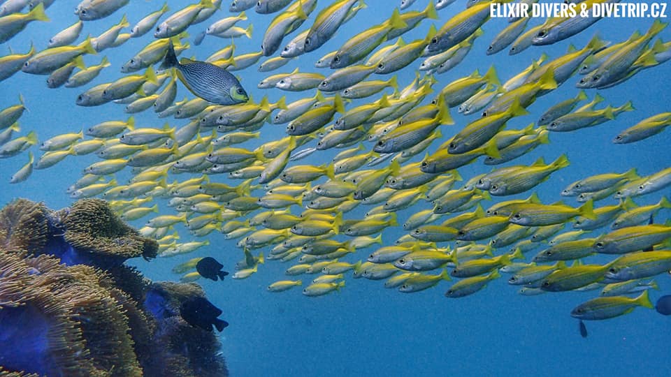 Dive site photo