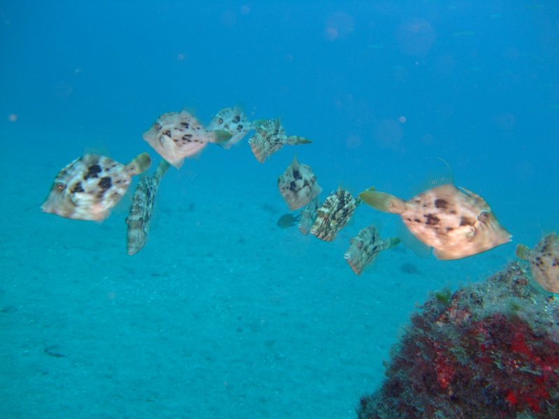 Dive site photo