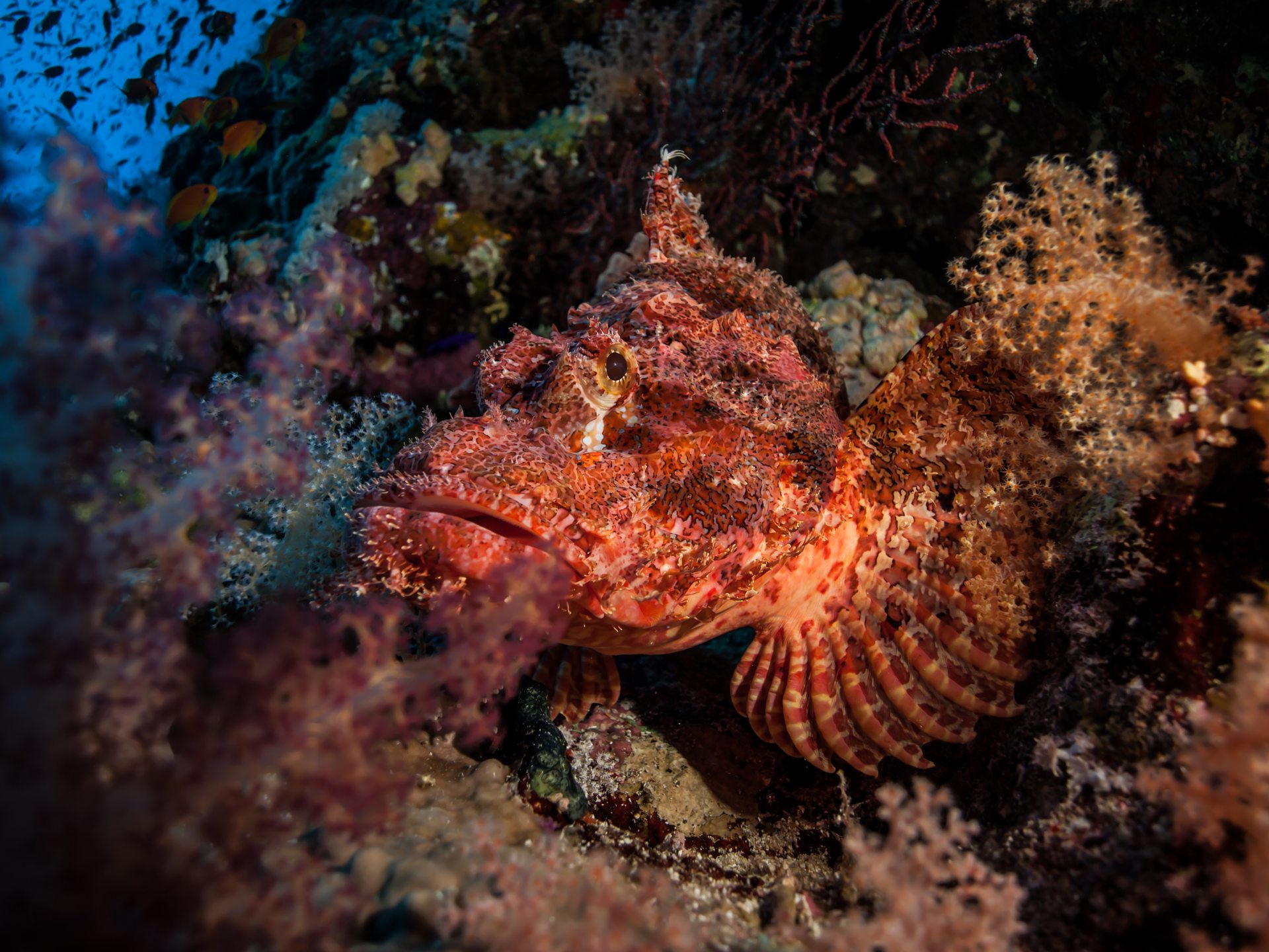 Dive site photo