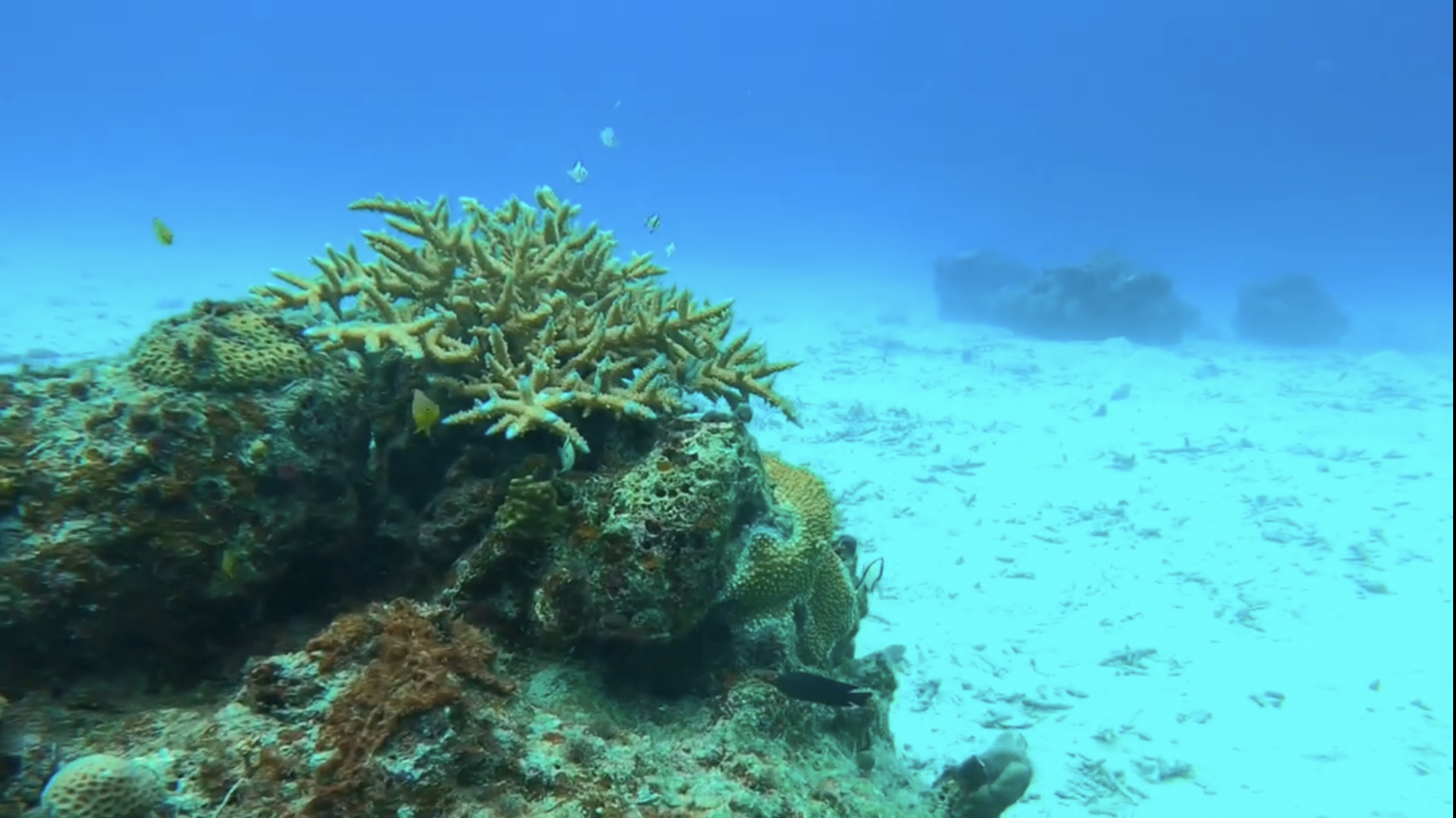 Dive site photo