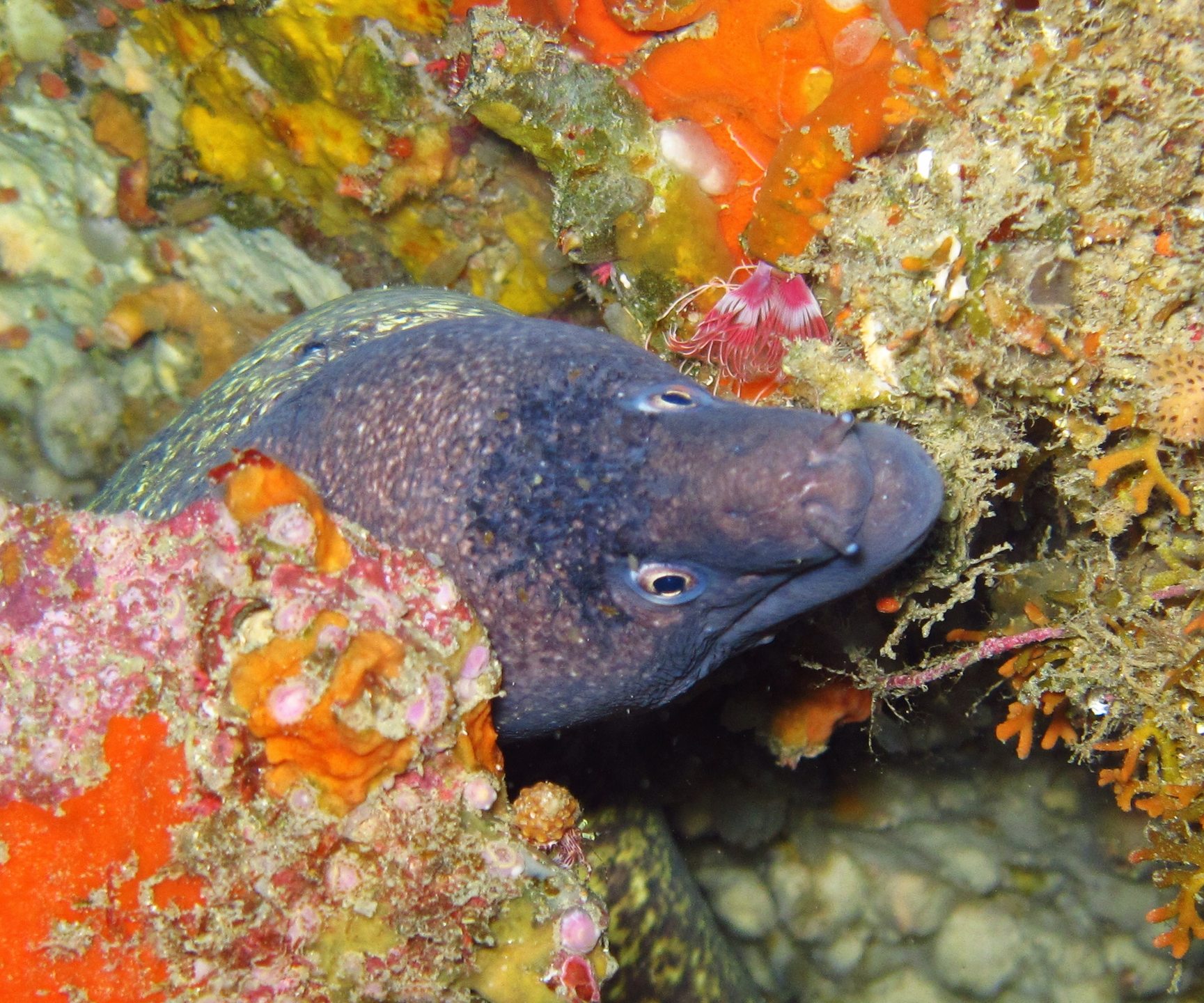 Dive site photo
