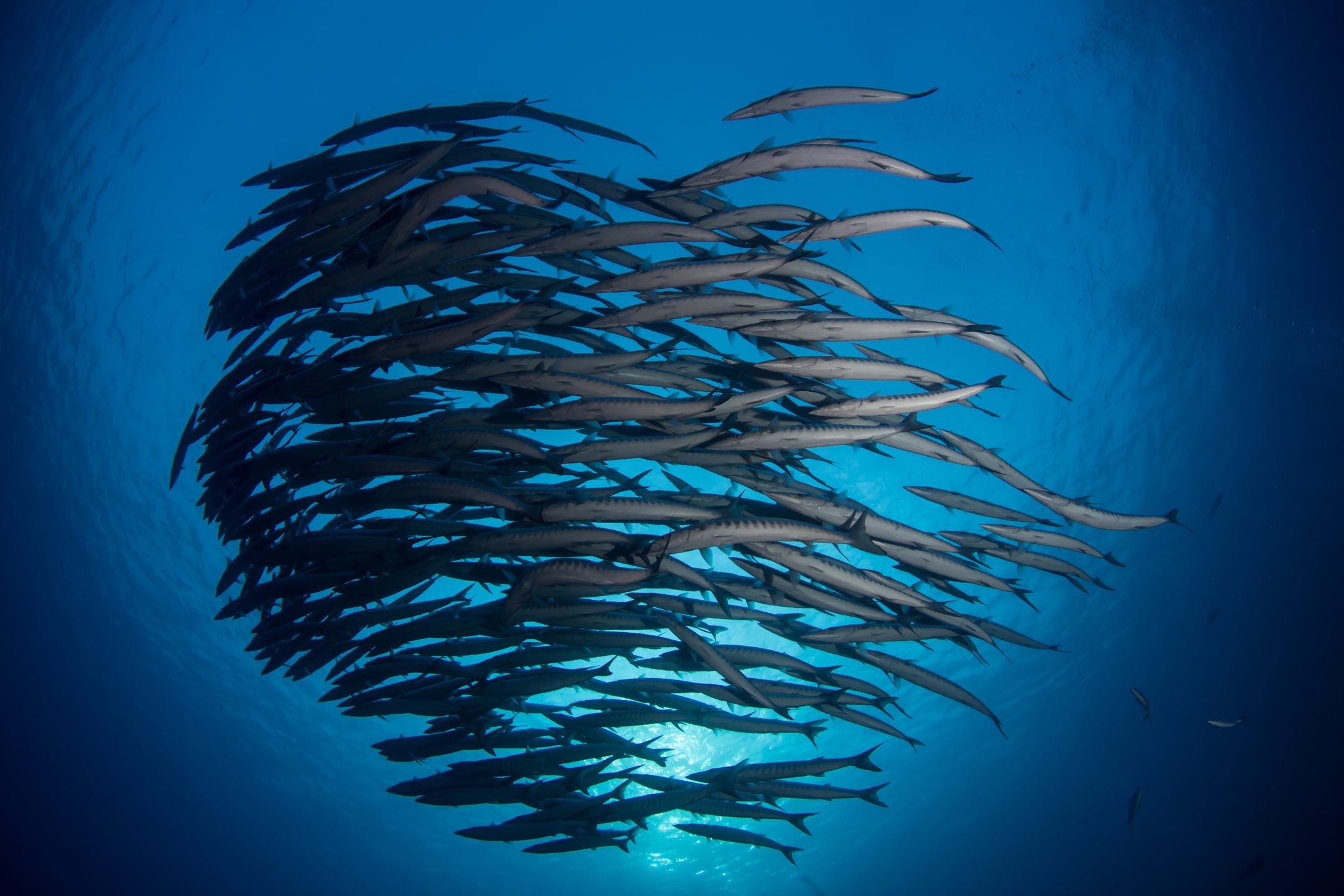 Dive site photo