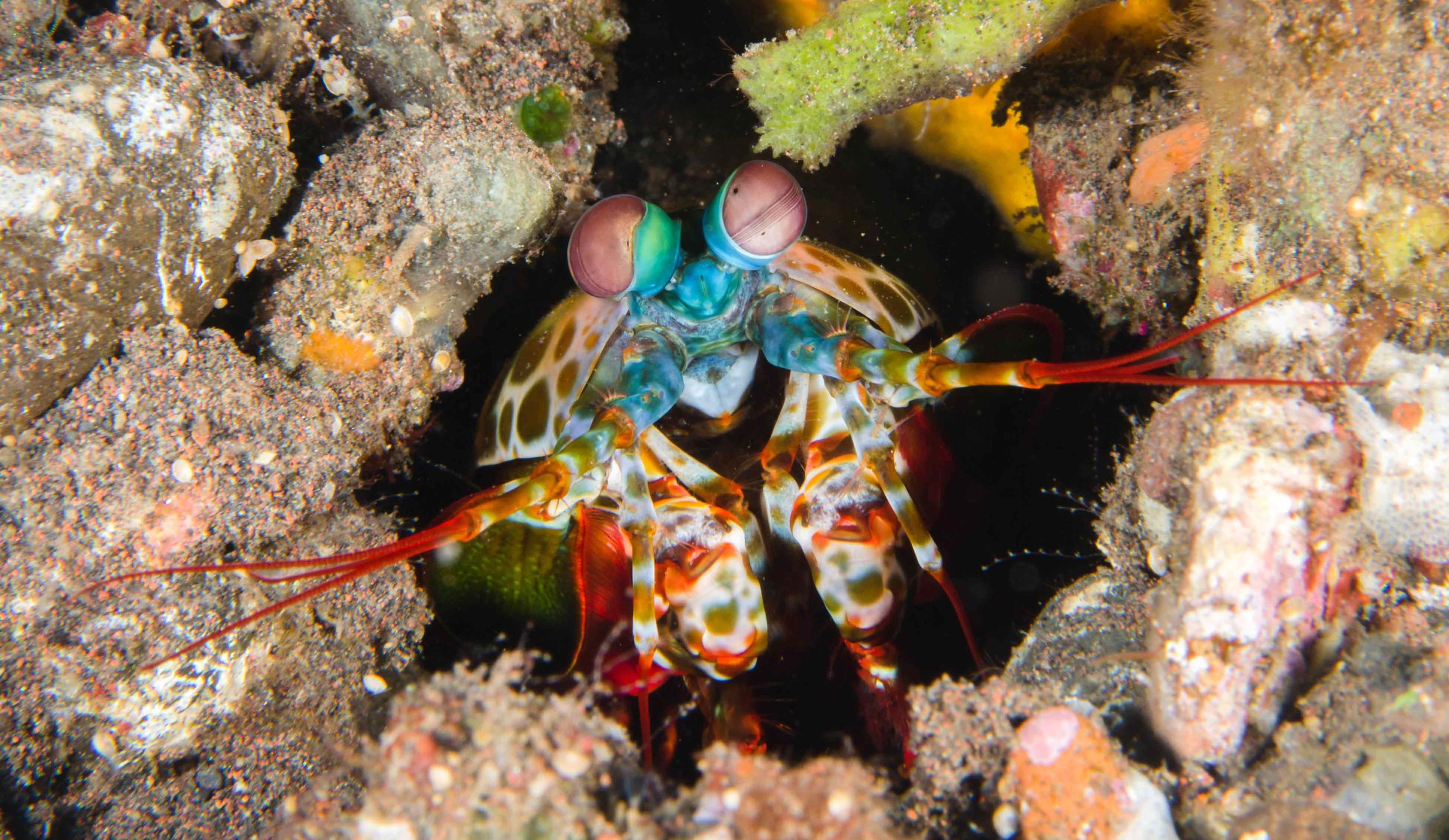 Dive site photo