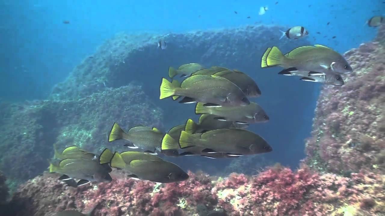 Dive site photo