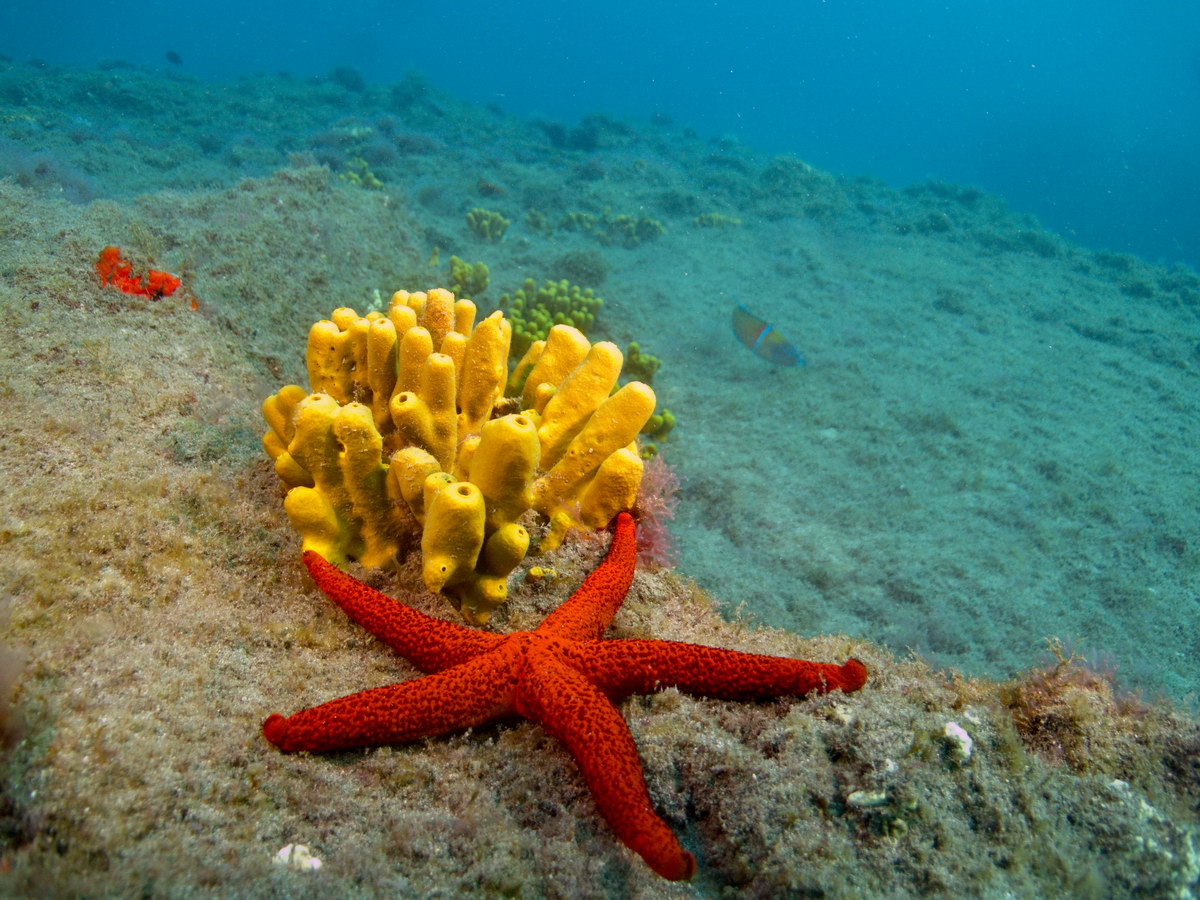 Dive site photo