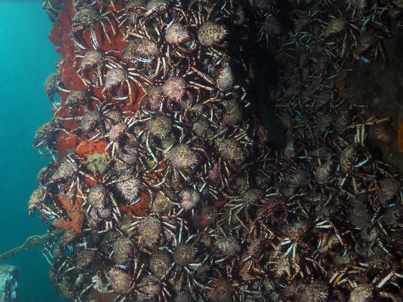 Dive site photo