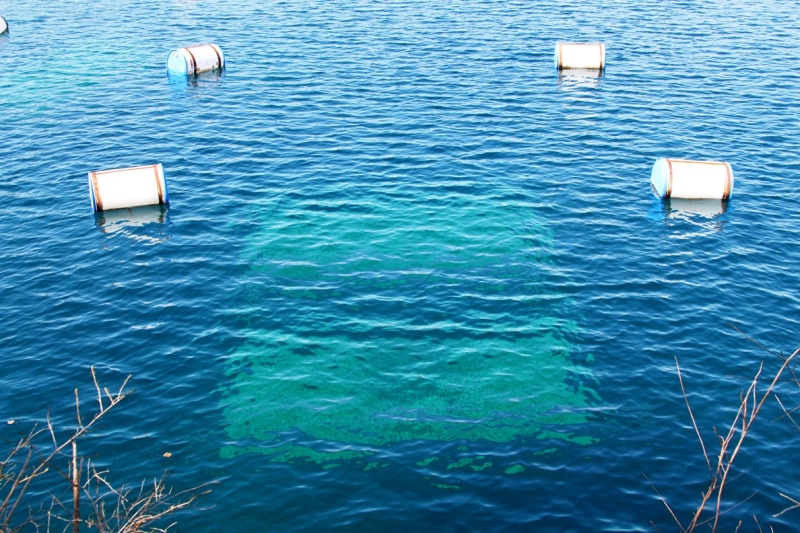 Dive site photo