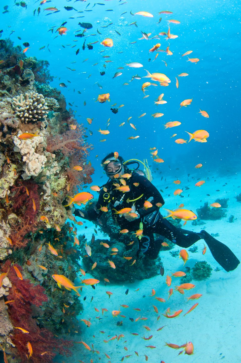 Dive site photo