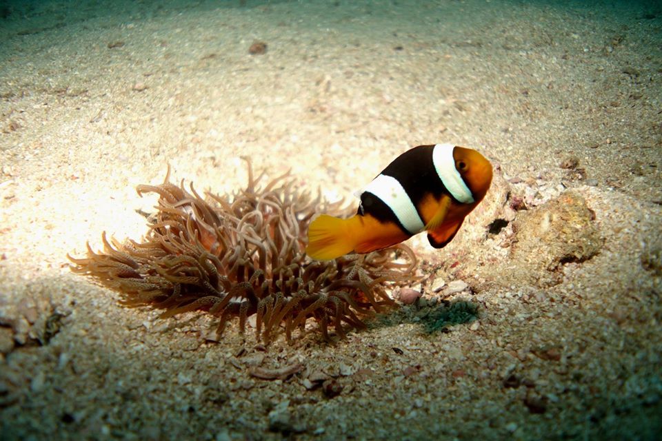 Dive site photo