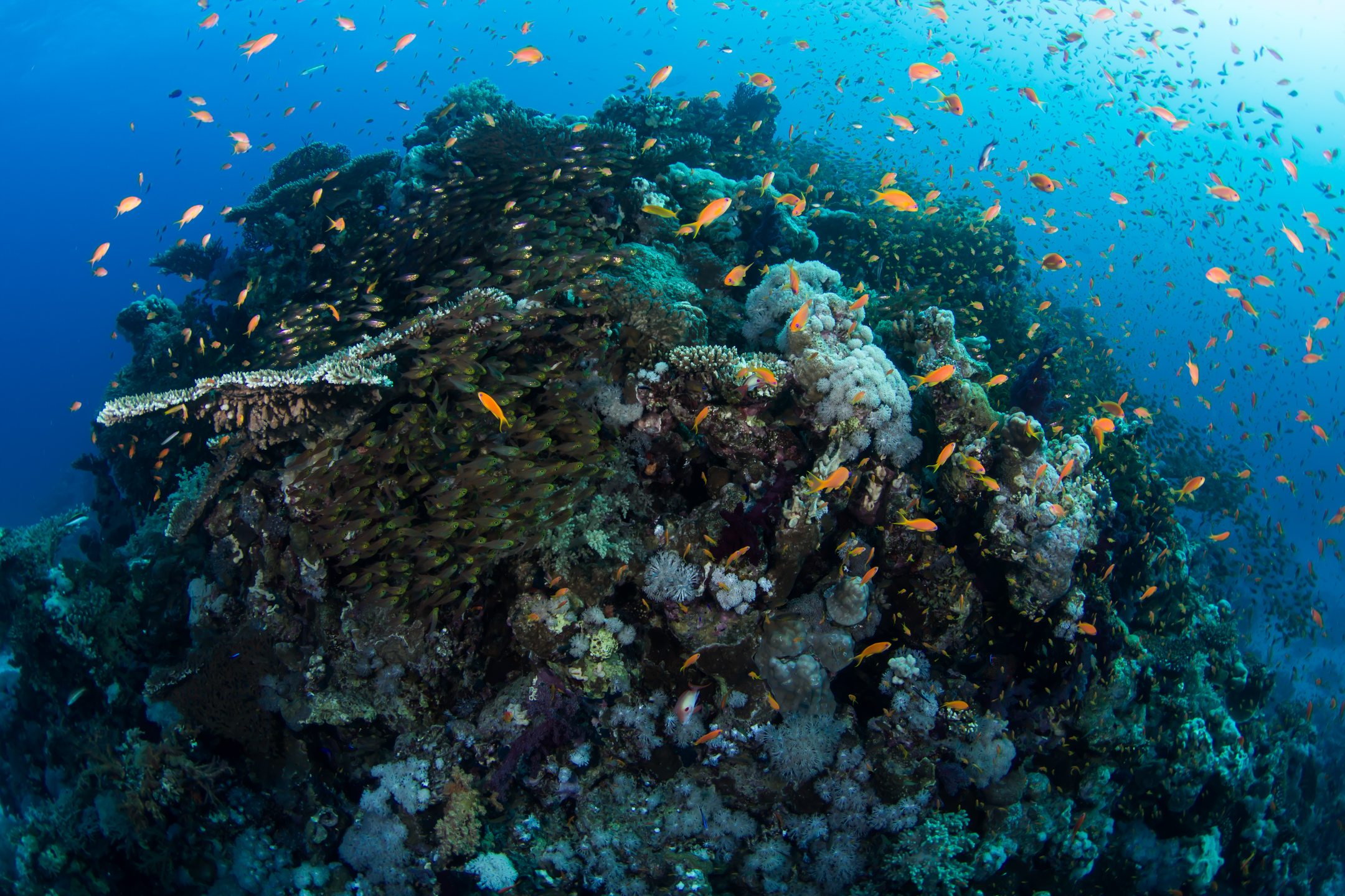 Dive site photo